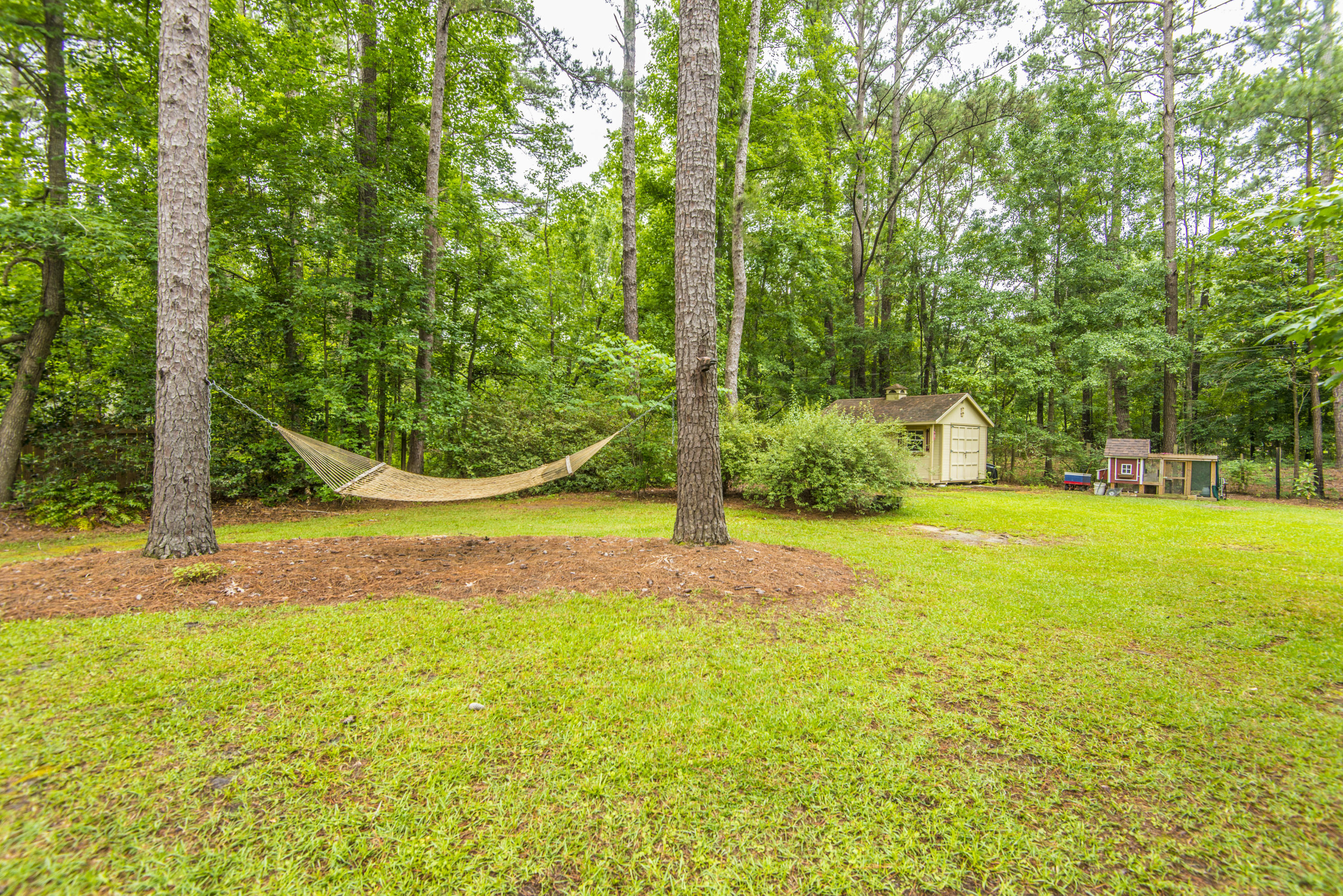 313 Huntington Road Summerville, SC 29483 - Photo 8 of 62 _DSC6749