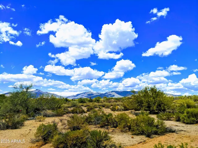 a view of a flower in a garden
