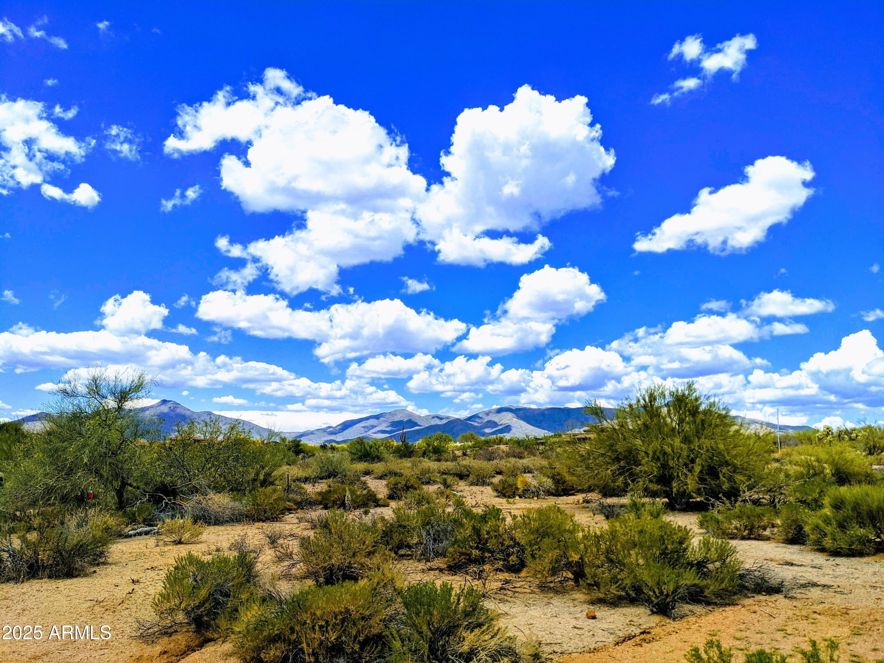 10201 East Joy Ranch Road, Unit 387 Scottsdale, AZ 85262 - Photo 1 of 8 a view of a flower in a garden