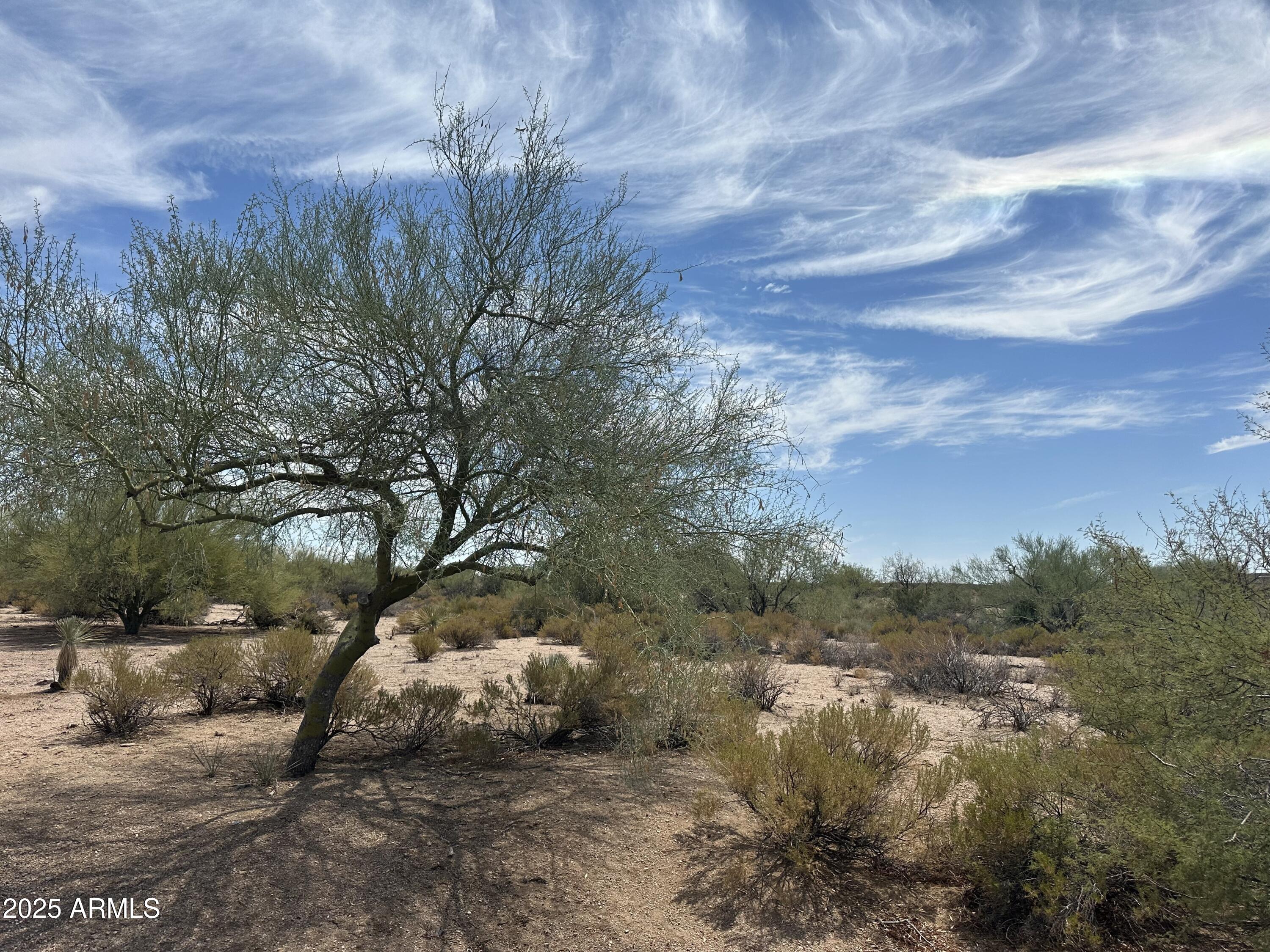 10201 East Joy Ranch Road, Unit 387 Scottsdale, AZ 85262 - Photo 4 of 8 a view of a field