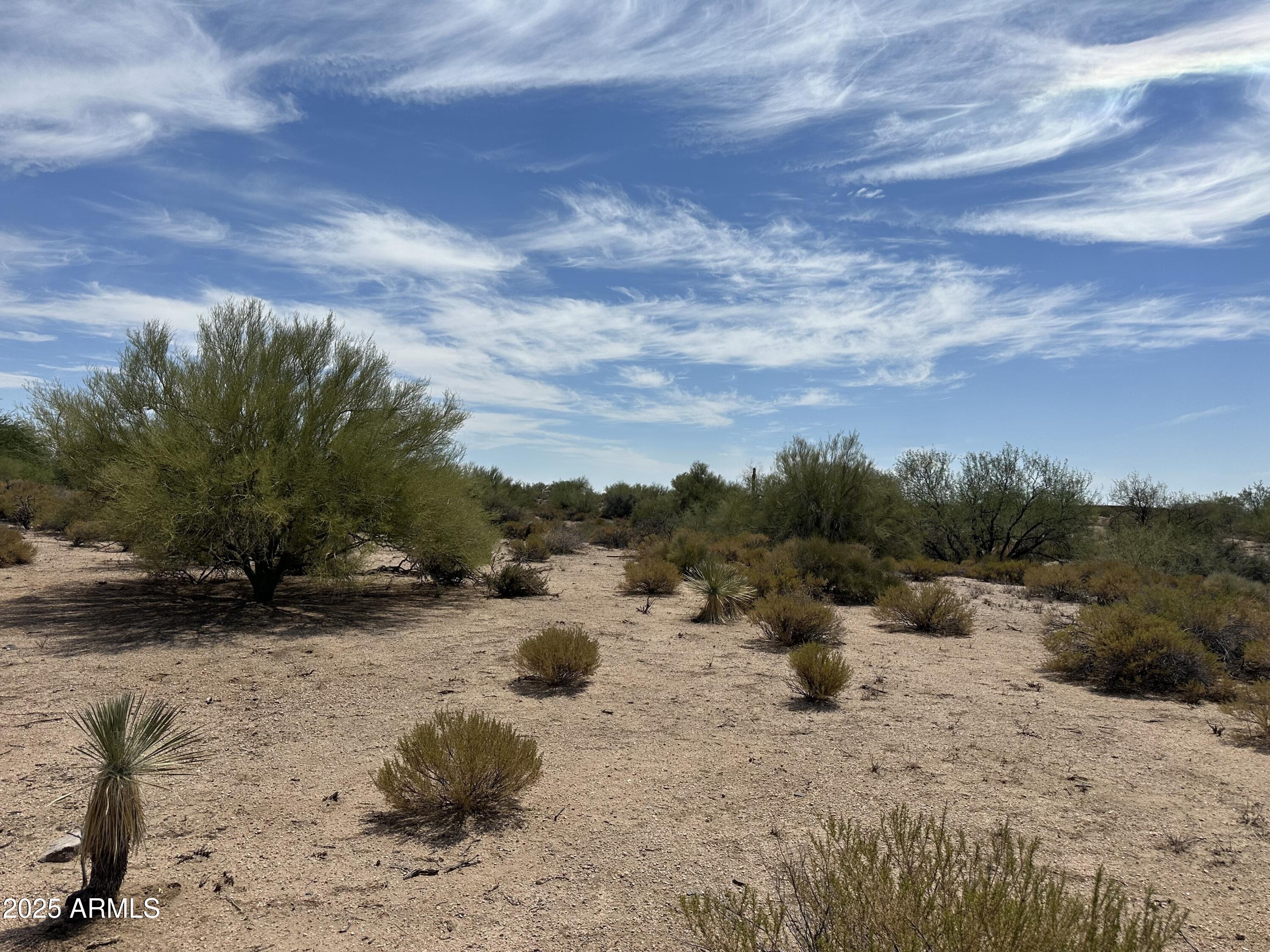 10201 East Joy Ranch Road, Unit 387 Scottsdale, AZ 85262 - Photo 5 of 8 a view of a dry yard with trees
