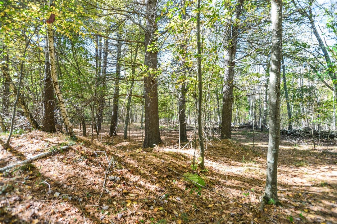 81 Franklin Road Scituate, RI 02825 - Photo 28 of 32