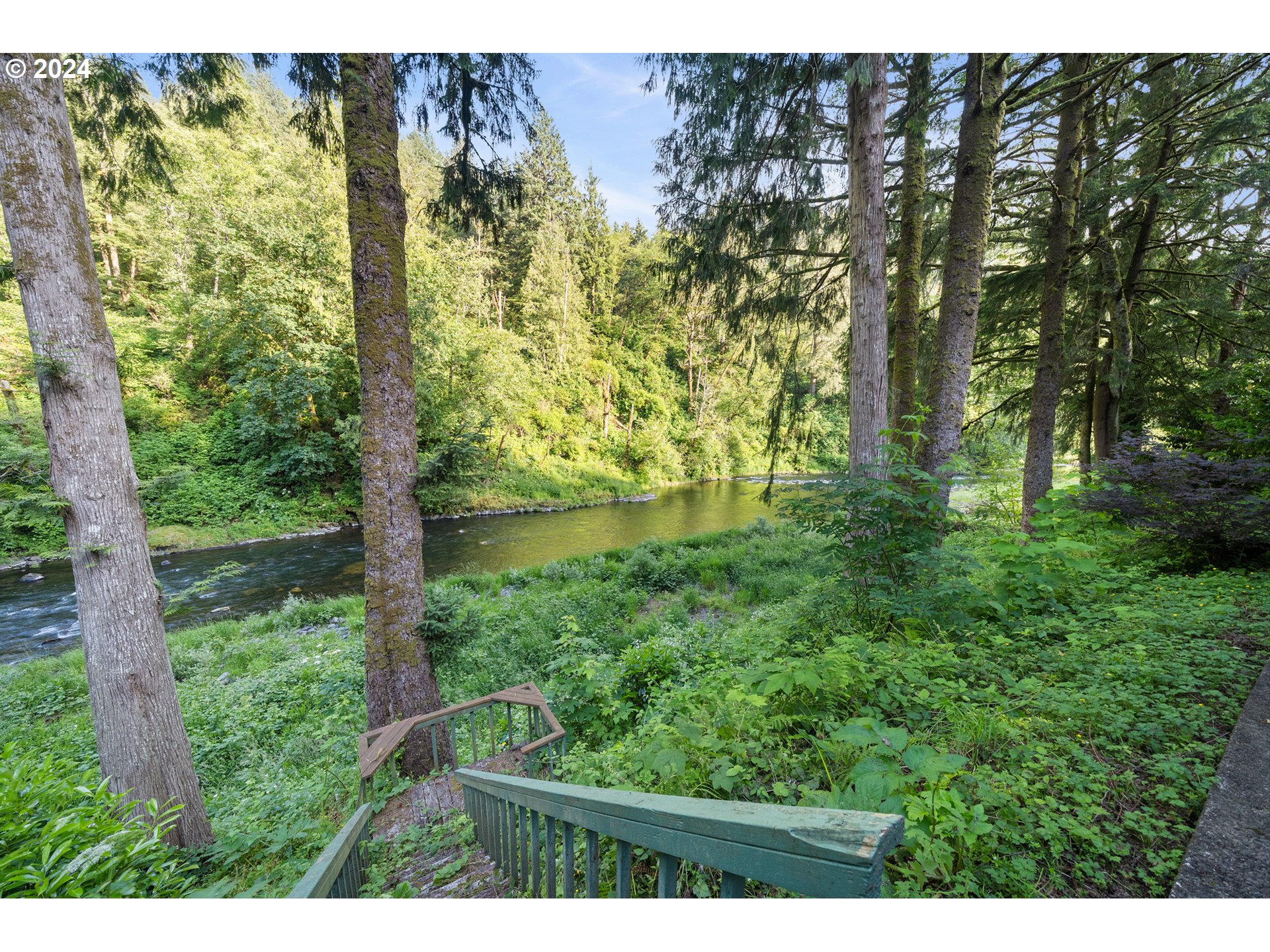 15555 Trask River Road Tillamook, OR 97141 - Photo 4 of 30 a view of a yard with plants and large tree