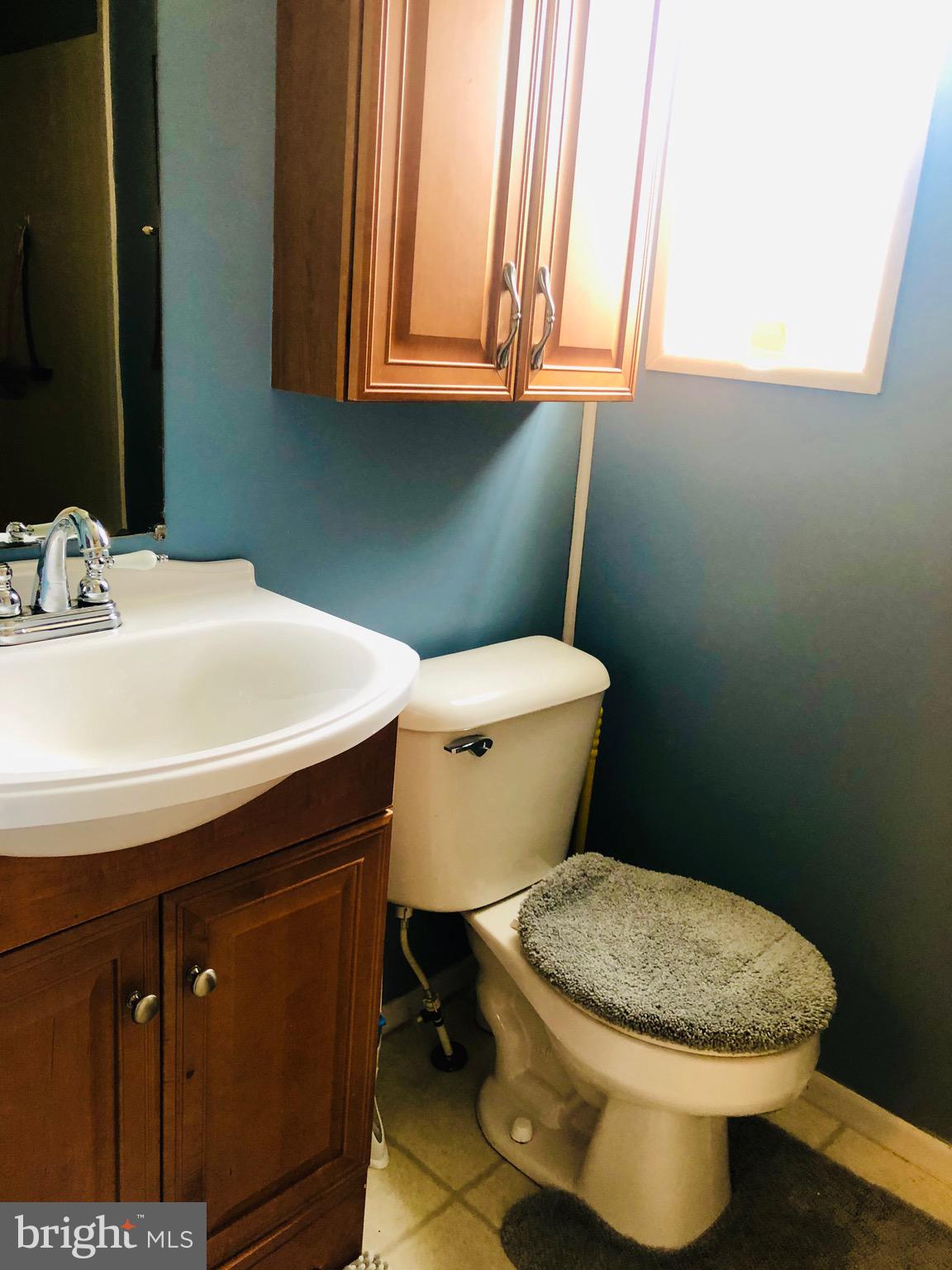 7810 Clark Road, Unit A17 Jessup, MD 20794 - Photo 20 of 32 Master bath