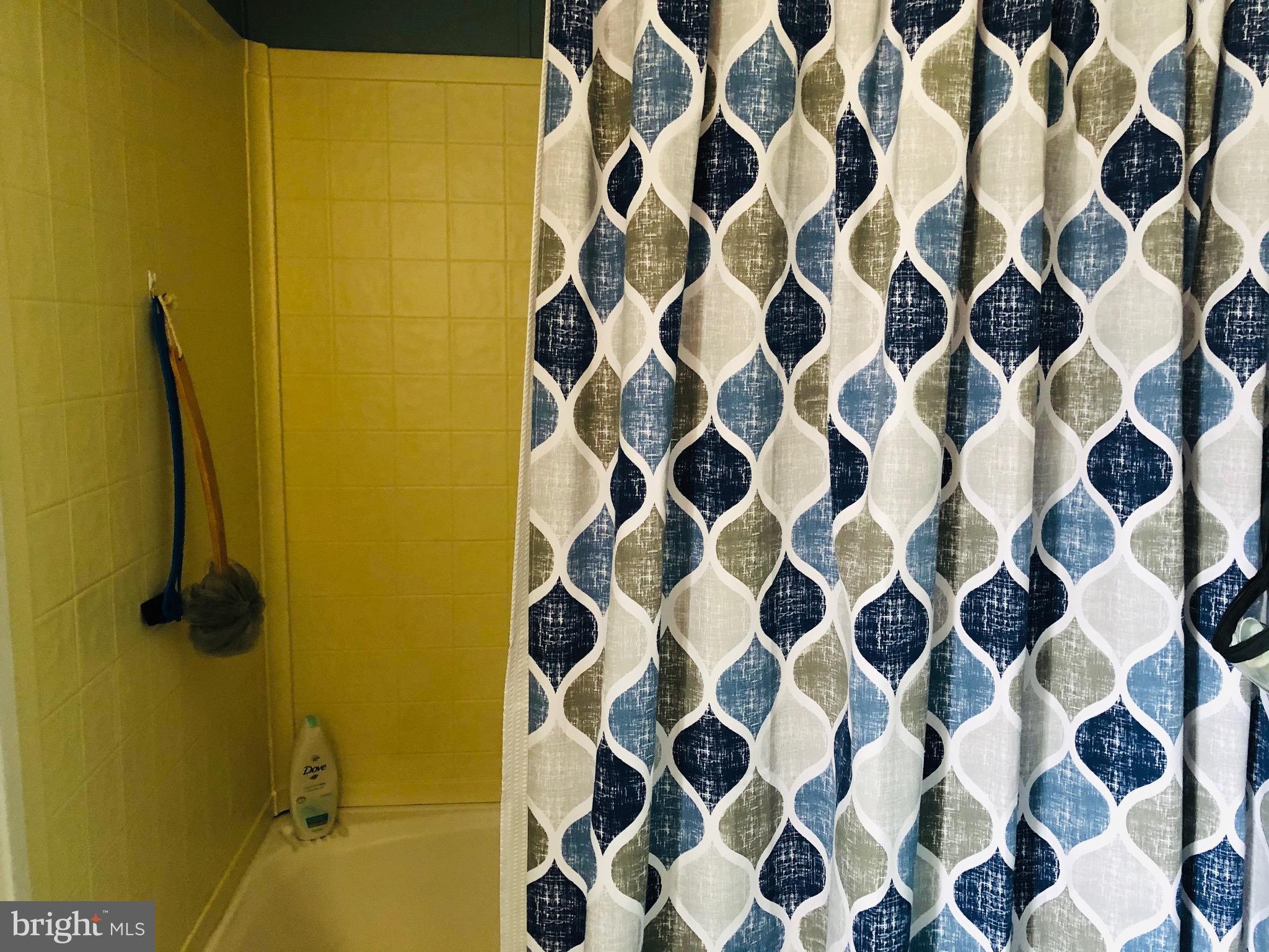 7810 Clark Road, Unit A17 Jessup, MD 20794 - Photo 21 of 32 Master Bath