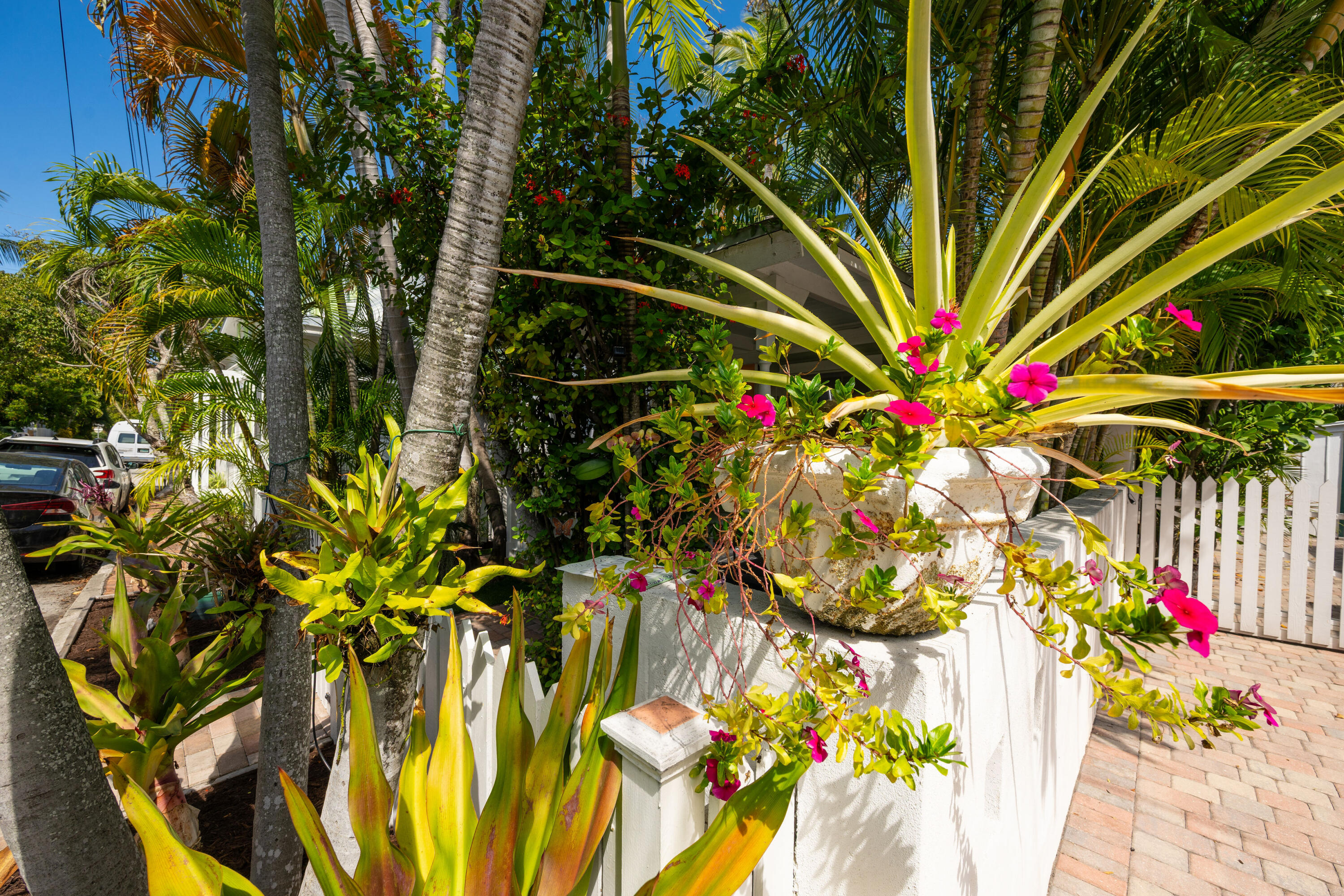 817 Pearl Street Key West, FL 33040 - Photo 36 of 36 NDP_1452