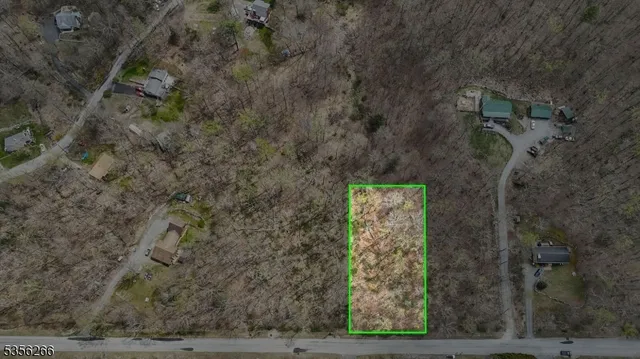 a view of a dry yard with trees
