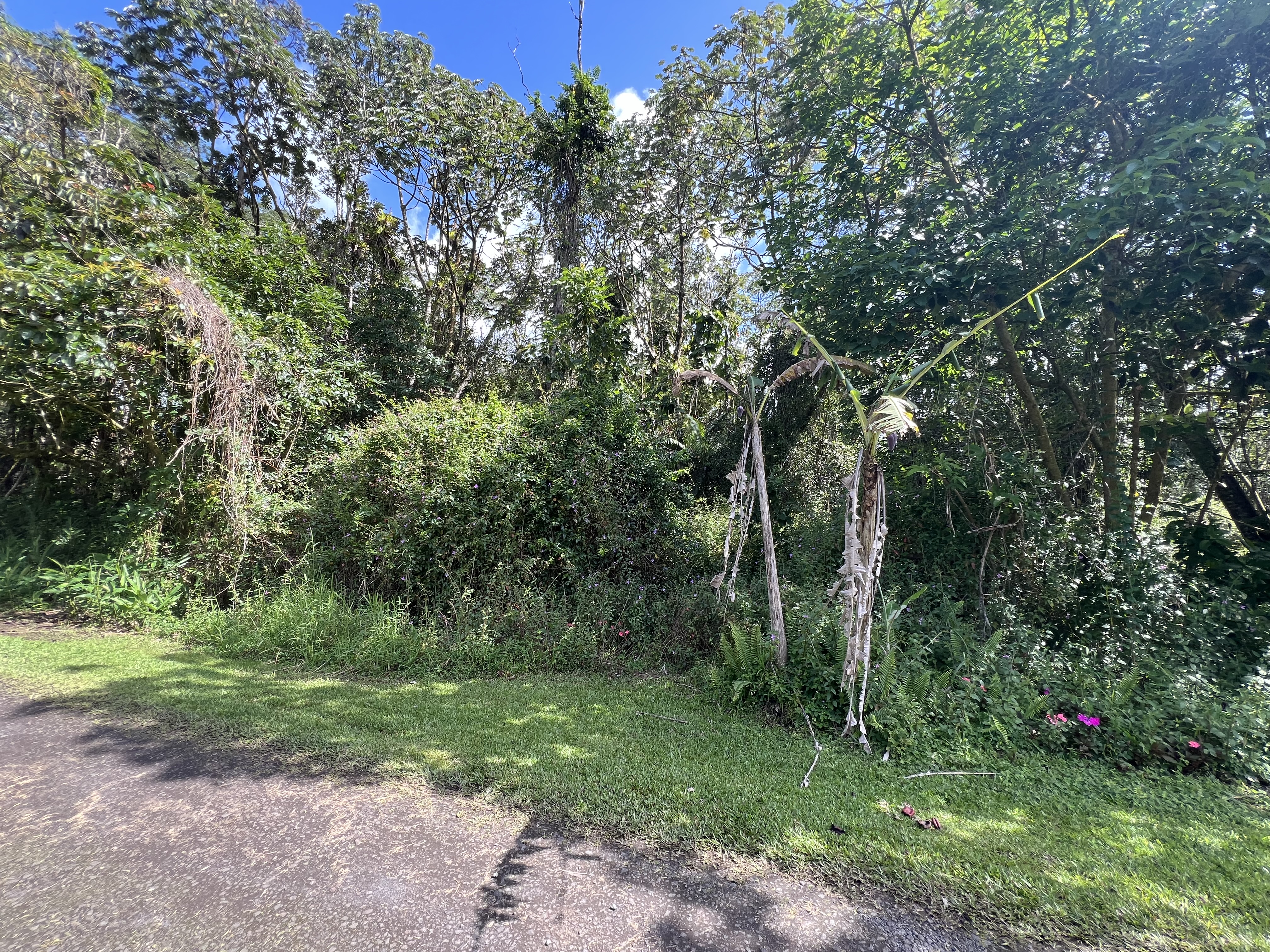 14-3506 Lot 705 Niihau Rd