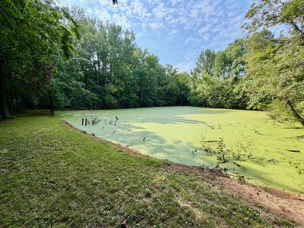 68 Lost Ranch Road Murphysboro, IL 62966 - Photo 9 of 11