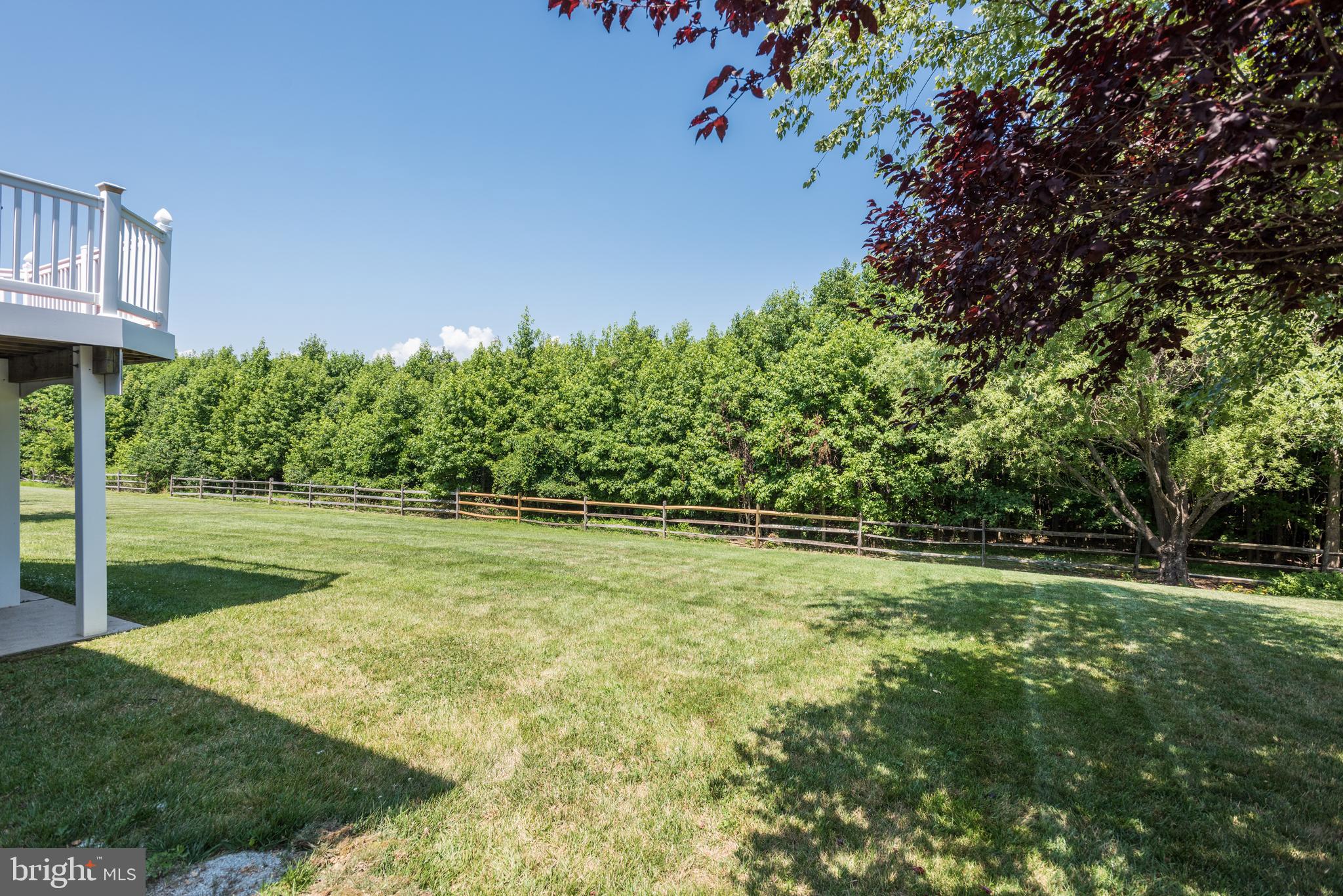 9506 Good Spring Drive Perry Hall, MD 21128 - Photo 42 of 50 LEVEL REAR YARD BACKING TO TREES