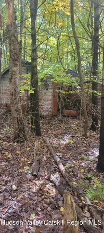 $70,000 | 0 Route 145 Cairo Ny 12413, Cairo, NY 12413