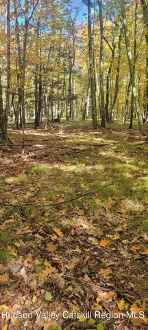 $70,000 | 0 Route 145 Cairo Ny 12413, Cairo, NY 12413