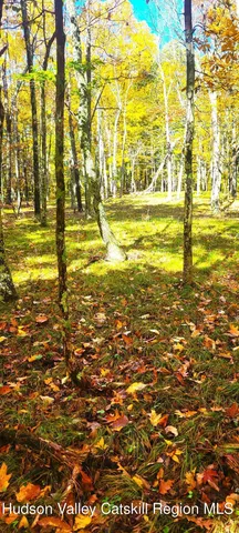 $70,000 | 0 Route 145 Cairo Ny 12413, Cairo, NY 12413