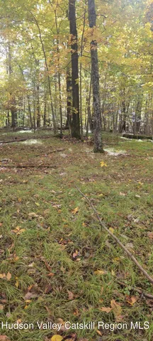 $70,000 | 0 Route 145 Cairo Ny 12413, Cairo, NY 12413