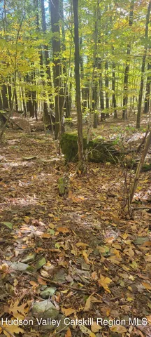 $70,000 | 0 Route 145 Cairo Ny 12413, Cairo, NY 12413