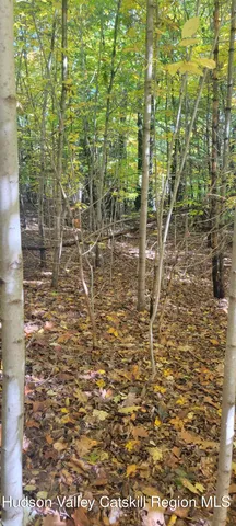 $70,000 | 0 Route 145 Cairo Ny 12413, Cairo, NY 12413