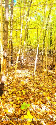 $70,000 | 0 Route 145 Cairo Ny 12413, Cairo, NY 12413