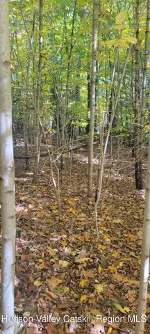 $70,000 | 0 Route 145 Cairo Ny 12413, Cairo, NY 12413