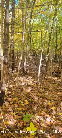 $70,000 | 0 Route 145 Cairo Ny 12413, Cairo, NY 12413