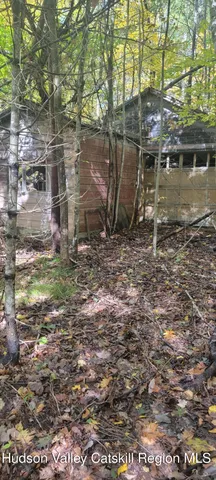 $70,000 | 0 Route 145 Cairo Ny 12413, Cairo, NY 12413
