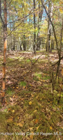 $70,000 | 0 Route 145 Cairo Ny 12413, Cairo, NY 12413