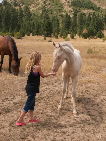 $105,000 | 9 Blk Whitewater Way, Garden Valley, ID 83622