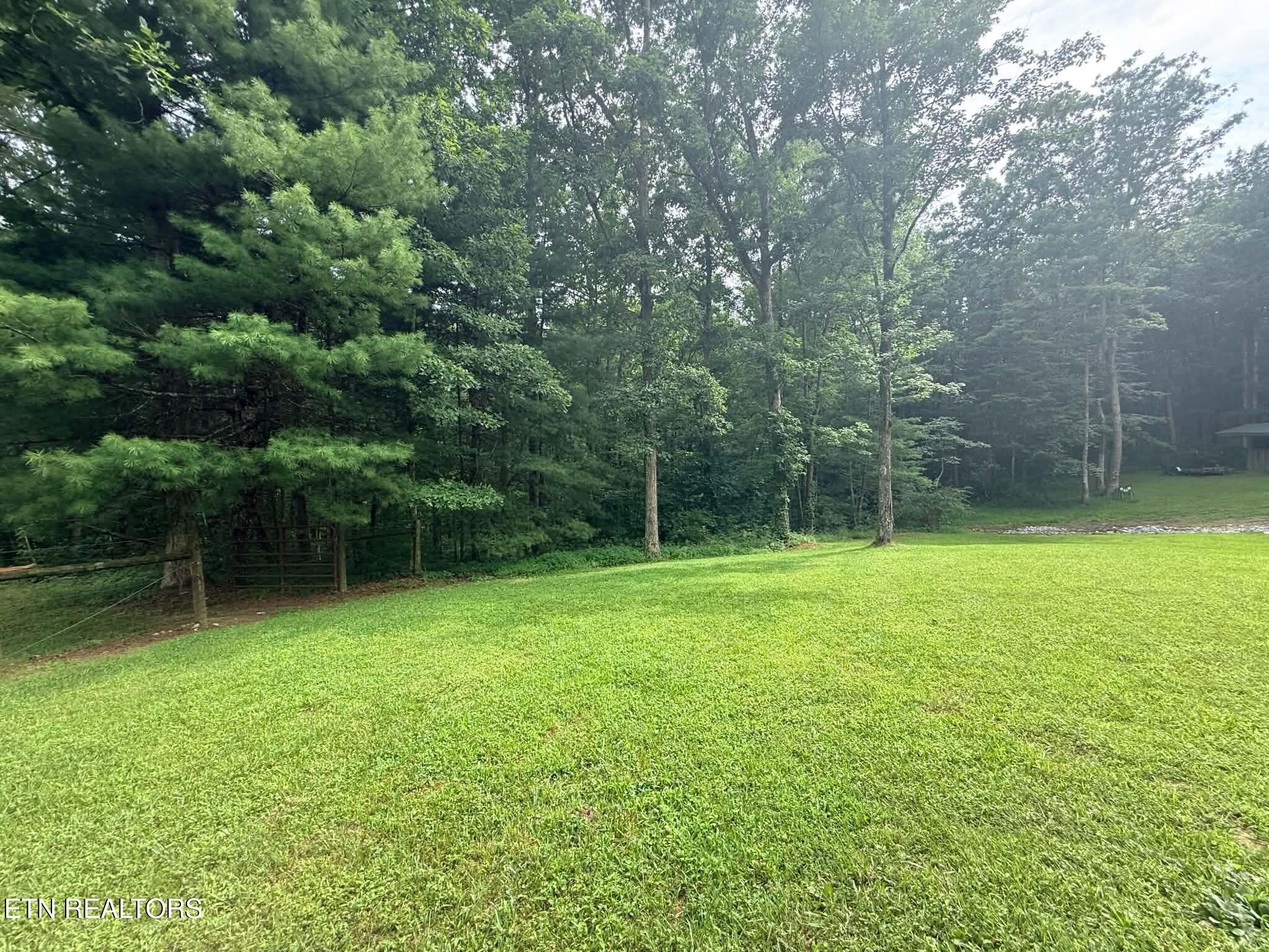 1250 Darrow Ridge Road Jamestown, TN 38556 - Photo 30 of 37