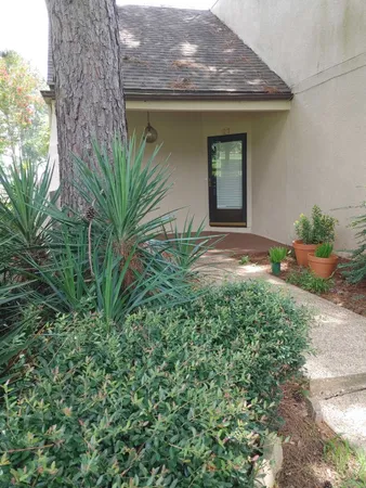 a plant is in front of a house