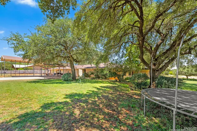 a view of a big yard with plants and large trees