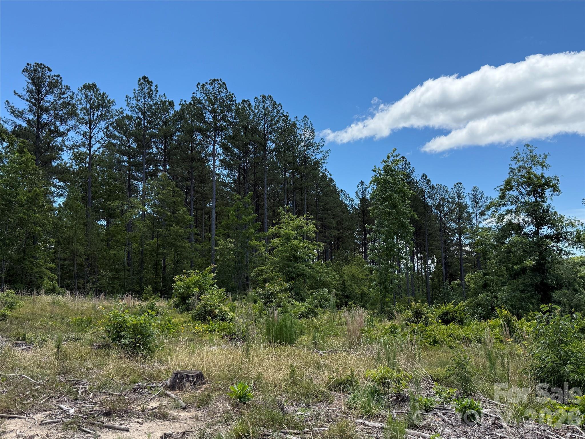 9999 Clark Road Rutherfordton, NC 28139 - Photo 14 of 19
