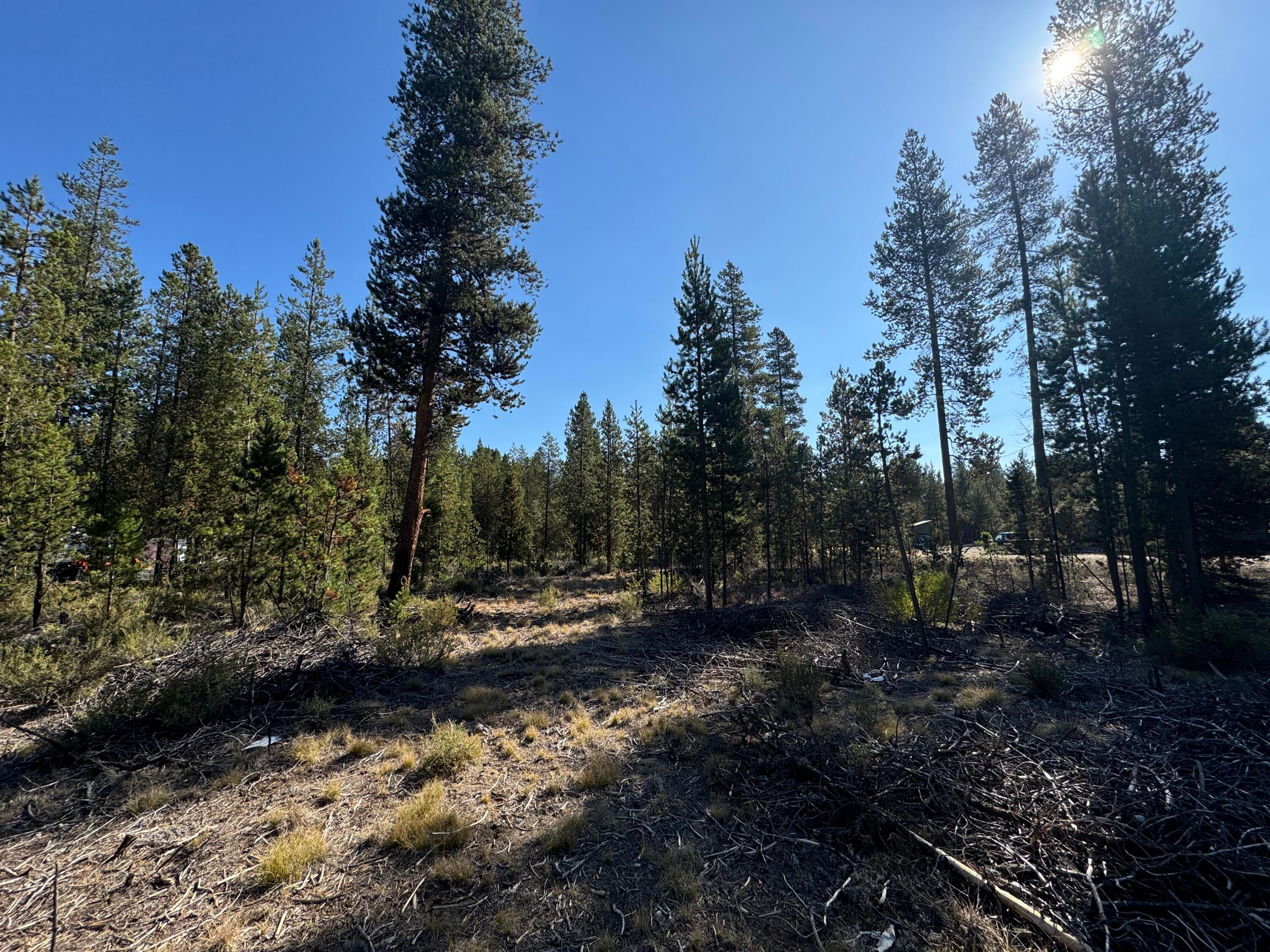 53260 Deep Woods Road La Pine, OR 97739 - Photo 5 of 6 IMG_2281