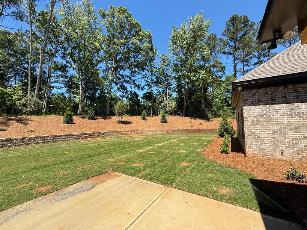 6013 Long Branch Midland, GA 31820 - Photo 18 of 21