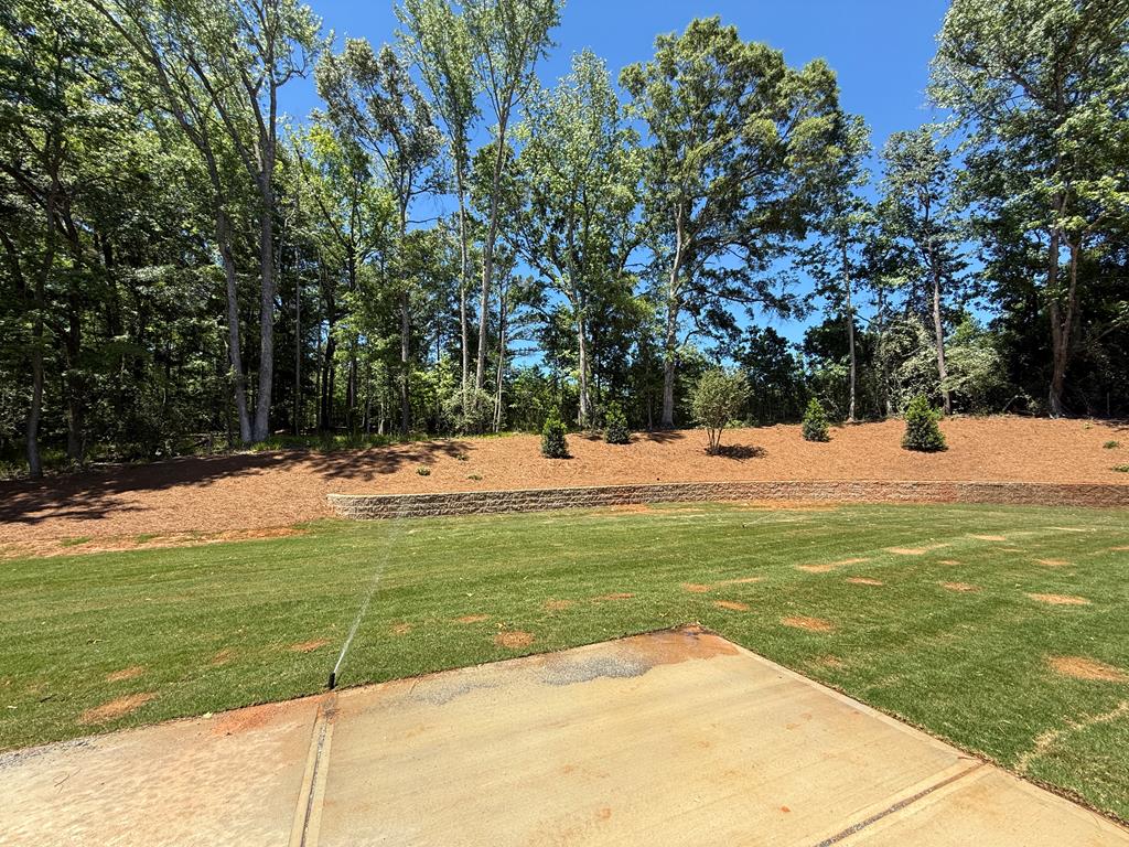 6013 Long Branch Midland, GA 31820 - Photo 19 of 21