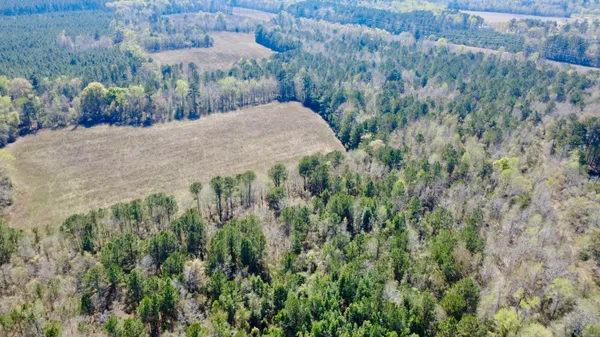 $795,000 | 1 Westbury Road, St. George, SC 29477