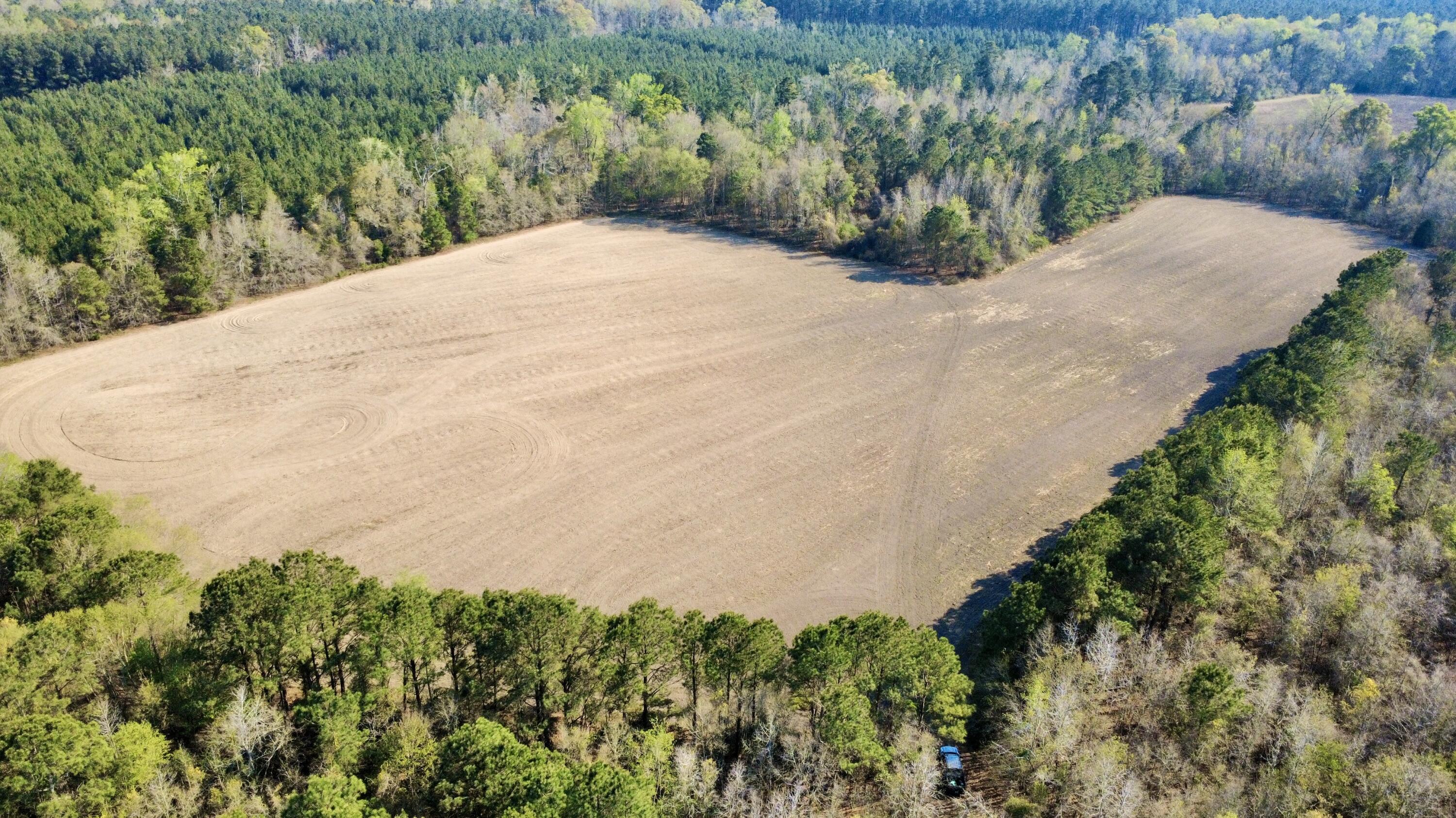 1 Westbury Road St. George, SC 29477 - Photo 11 of 29 dji_fly_20260321_162140_78_1774124884338