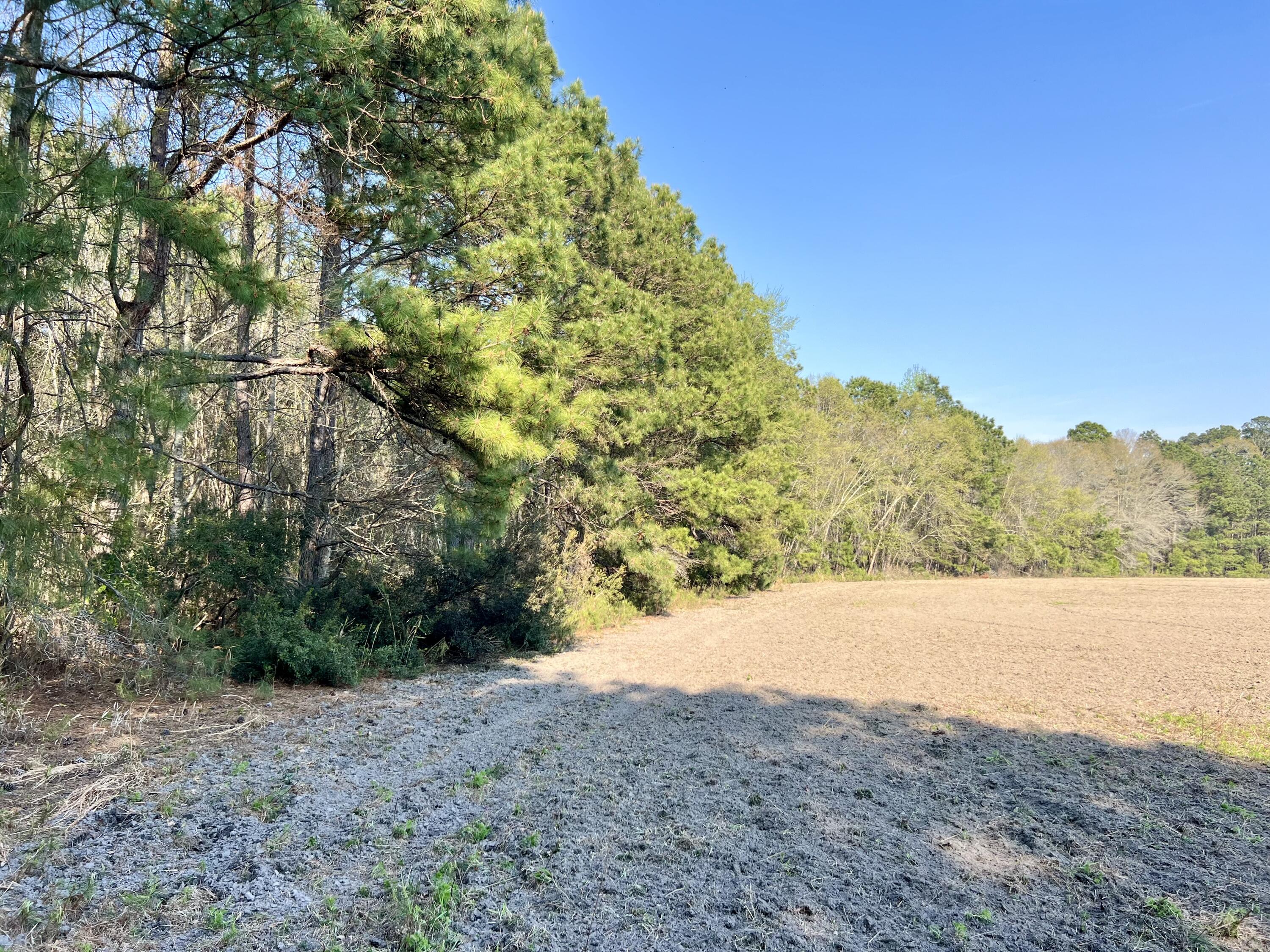1 Westbury Road St. George, SC 29477 - Photo 12 of 29 IMG_8156