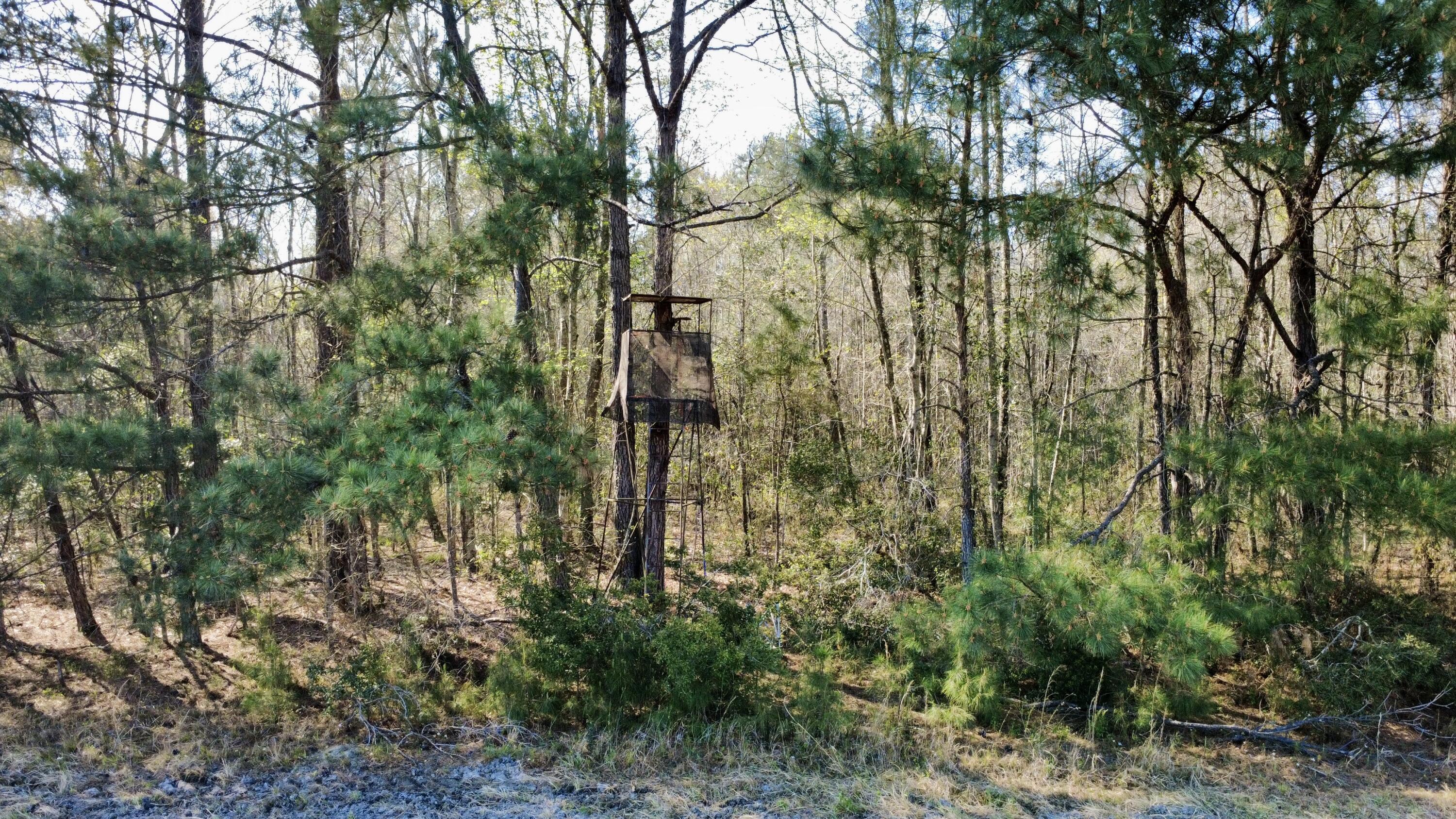 1 Westbury Road St. George, SC 29477 - Photo 13 of 29 dji_fly_20260321_162548_82_1774124888144