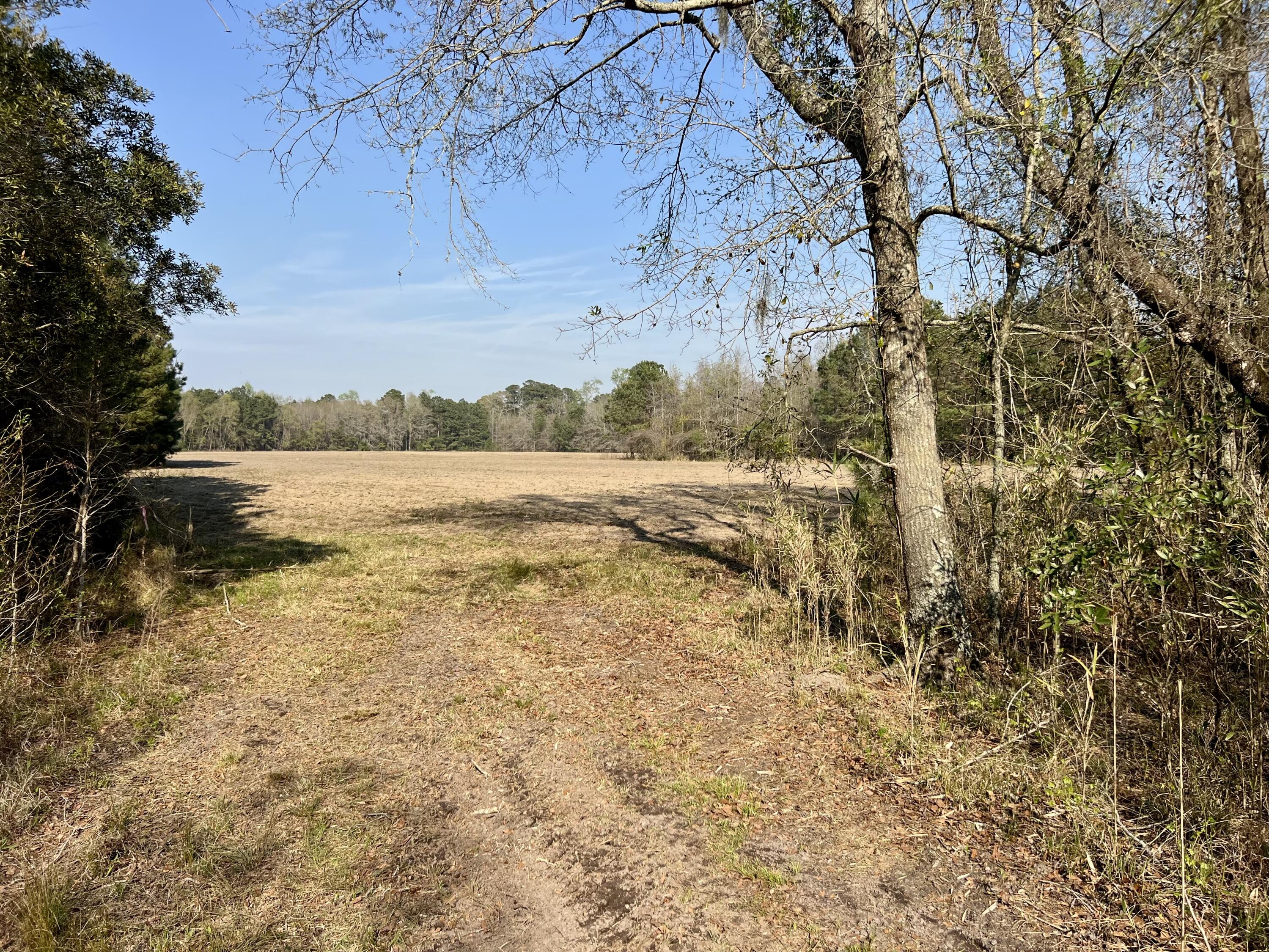 1 Westbury Road St. George, SC 29477 - Photo 20 of 29 IMG_8155