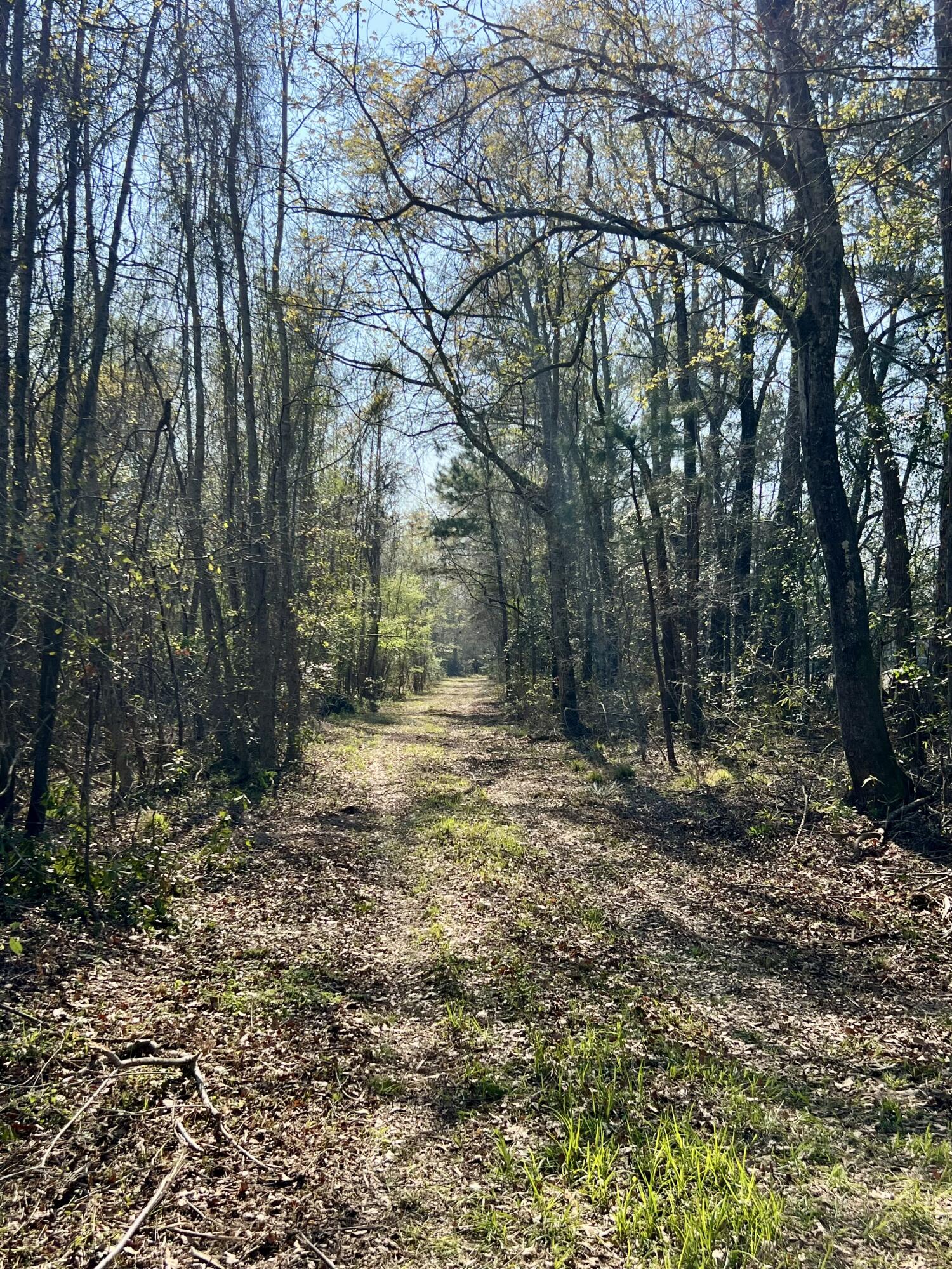 1 Westbury Road St. George, SC 29477 - Photo 2 of 29 IMG_8139