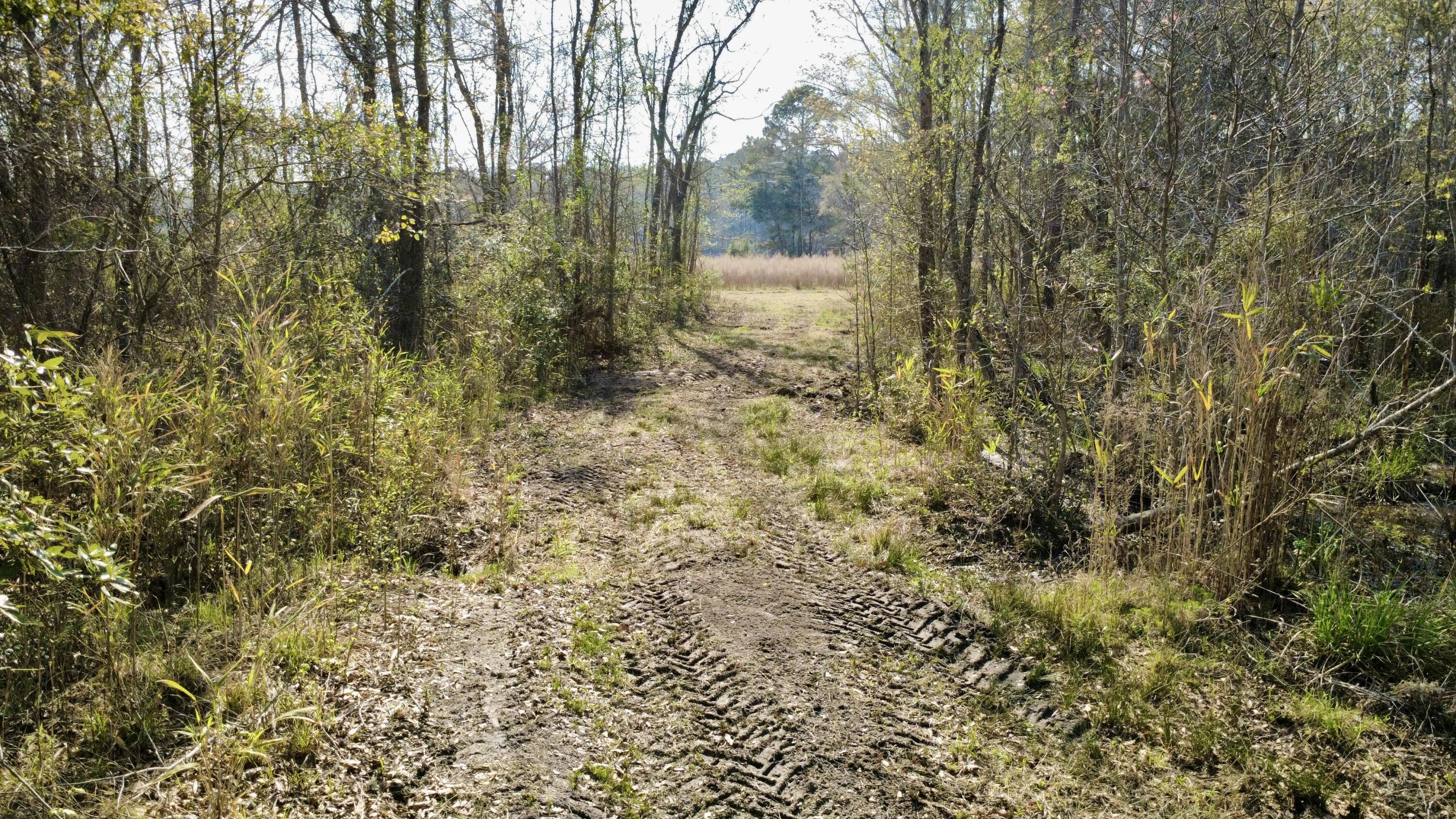 1 Westbury Road St. George, SC 29477 - Photo 21 of 29 IMG_8181