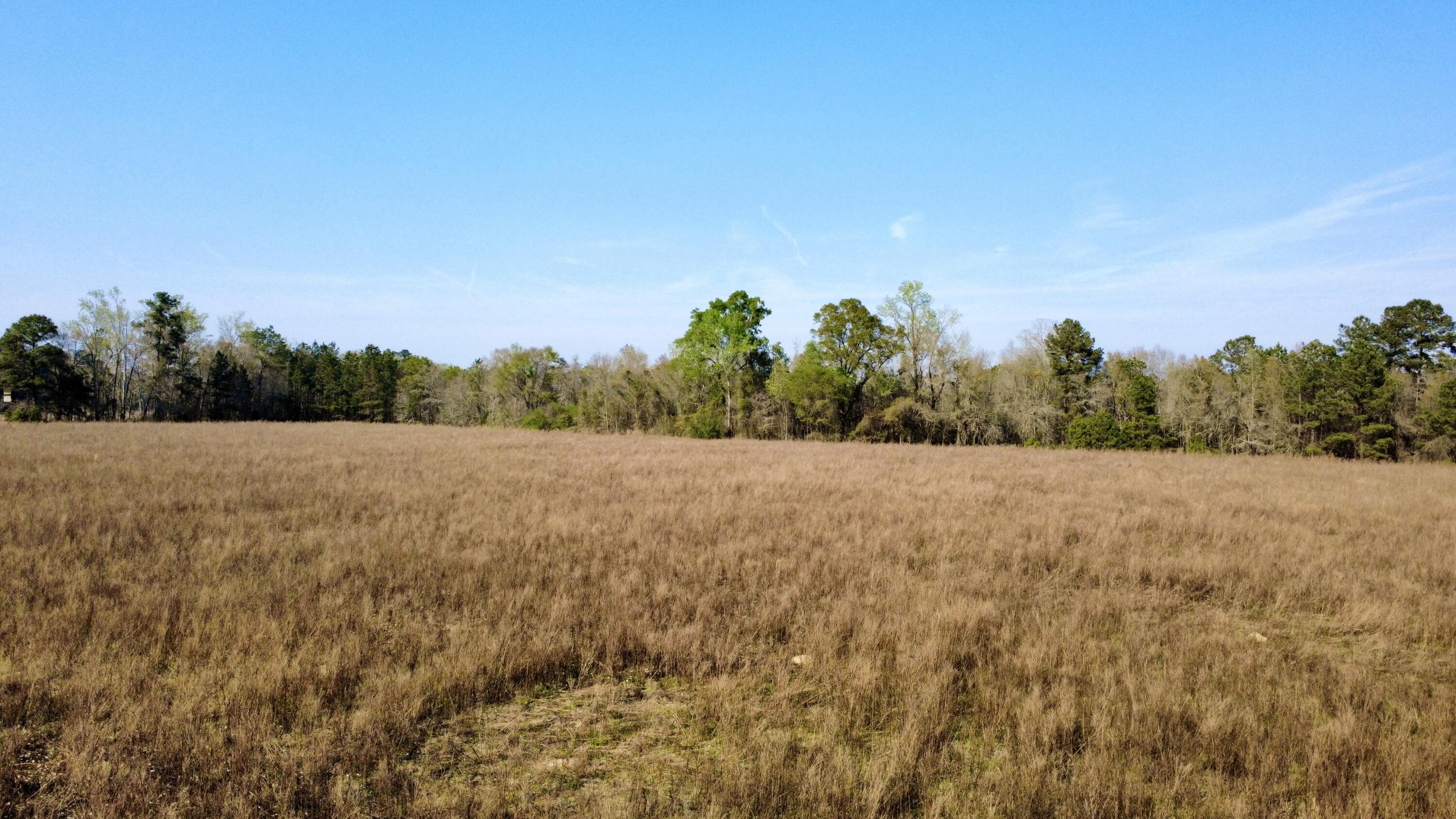 1 Westbury Road St. George, SC 29477 - Photo 24 of 29 dji_fly_20260321_163818_88_1774126805579