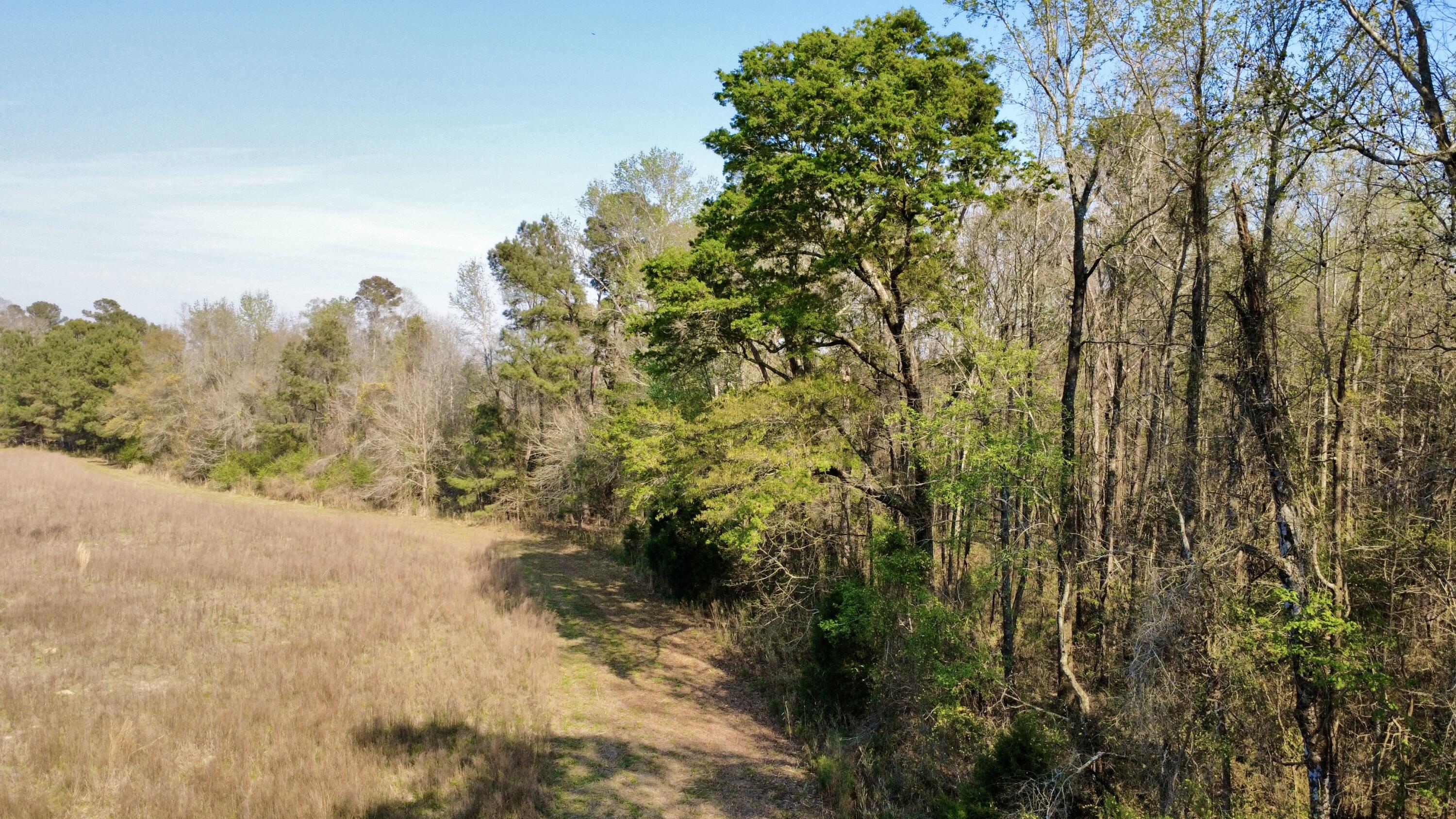 1 Westbury Road St. George, SC 29477 - Photo 25 of 29 IMG_8179
