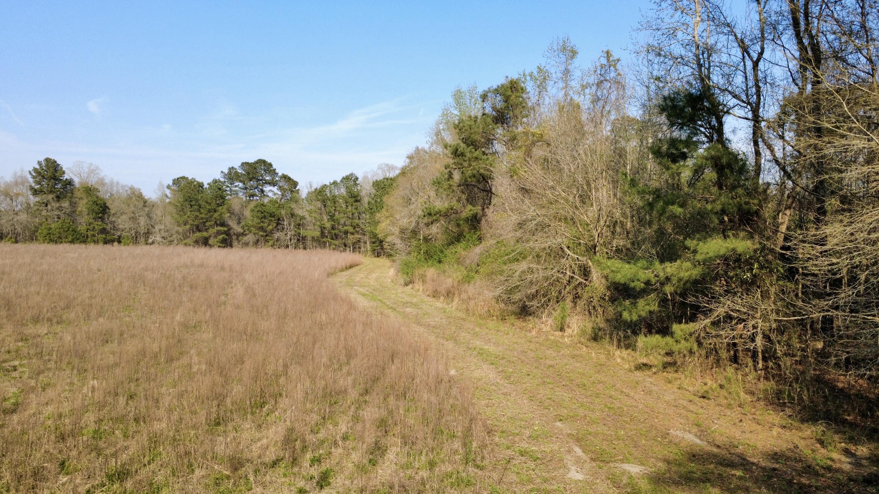 1 Westbury Road St. George, SC 29477 - Photo 27 of 29 IMG_8177