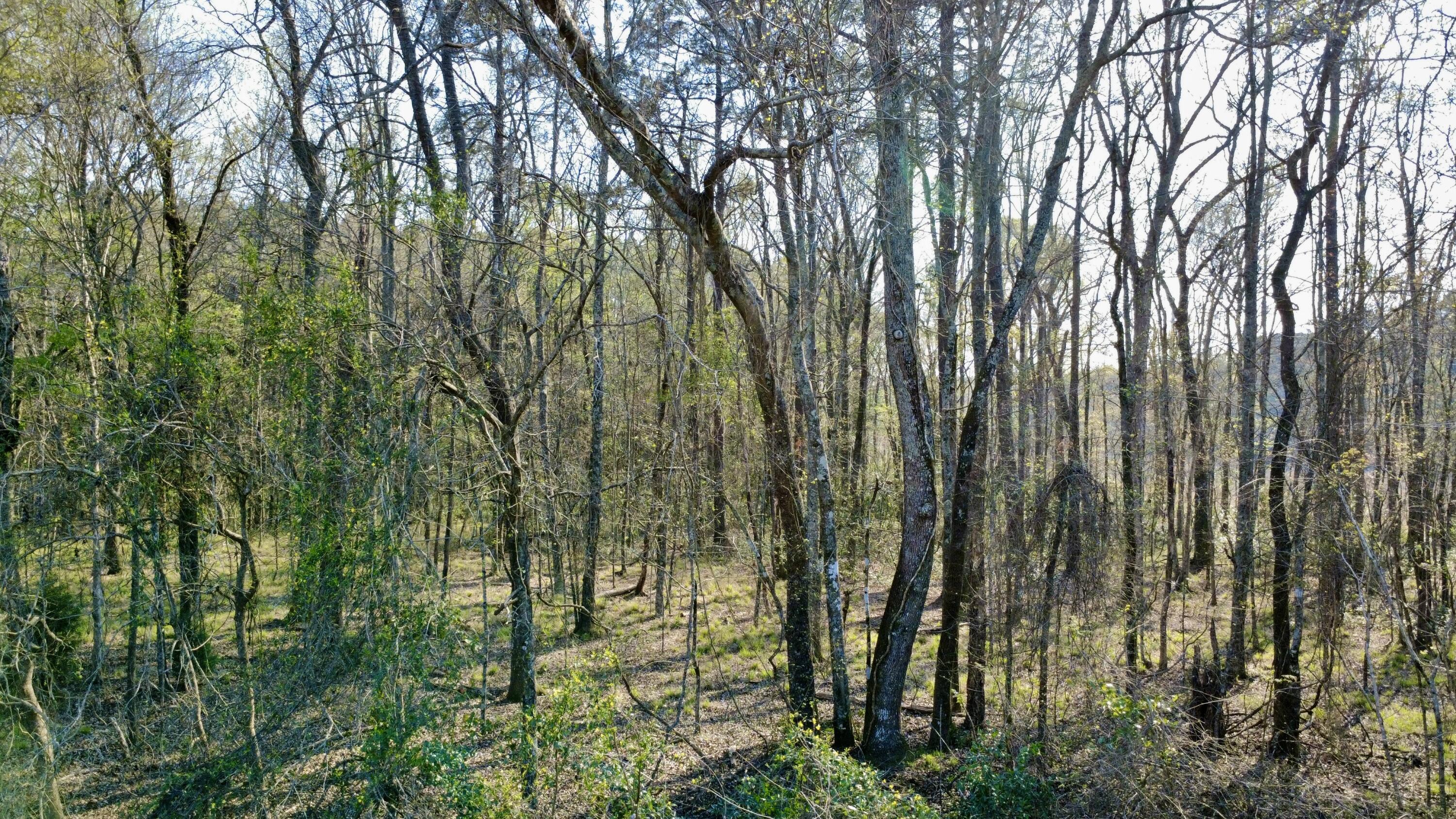 1 Westbury Road St. George, SC 29477 - Photo 28 of 29 IMG_8176