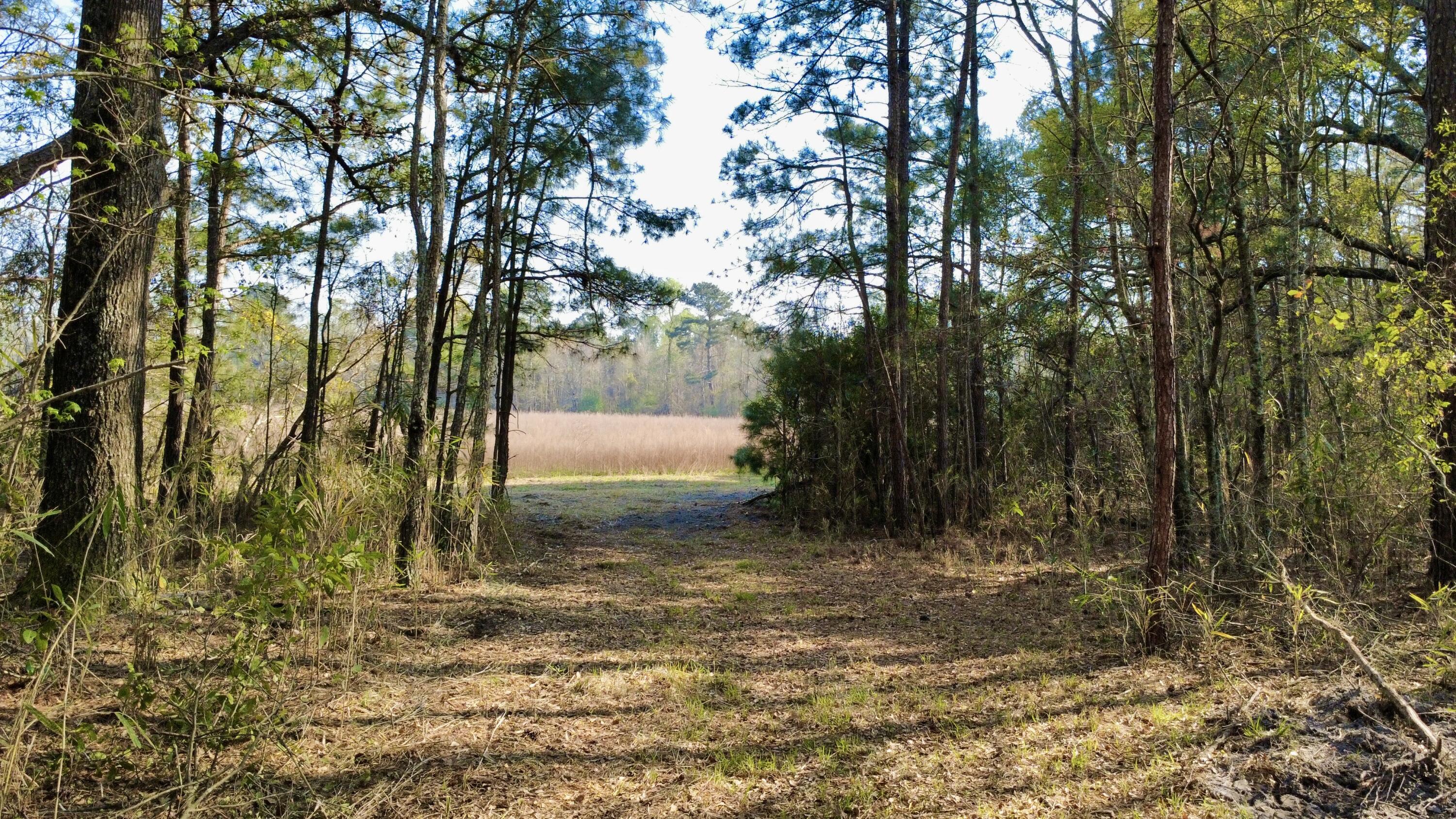 1 Westbury Road St. George, SC 29477 - Photo 3 of 29 IMG_8170