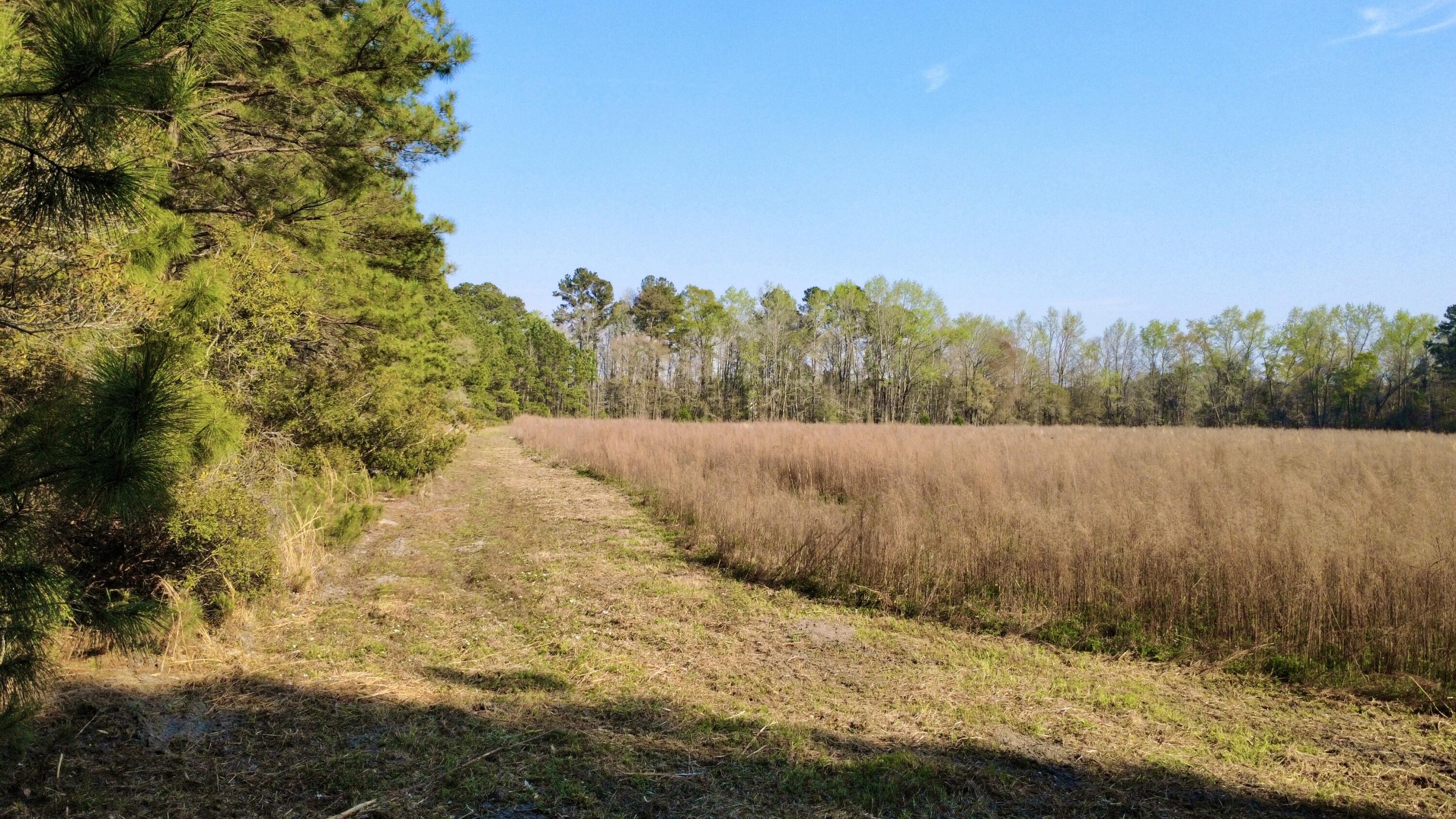 1 Westbury Road St. George, SC 29477 - Photo 5 of 29 IMG_8172