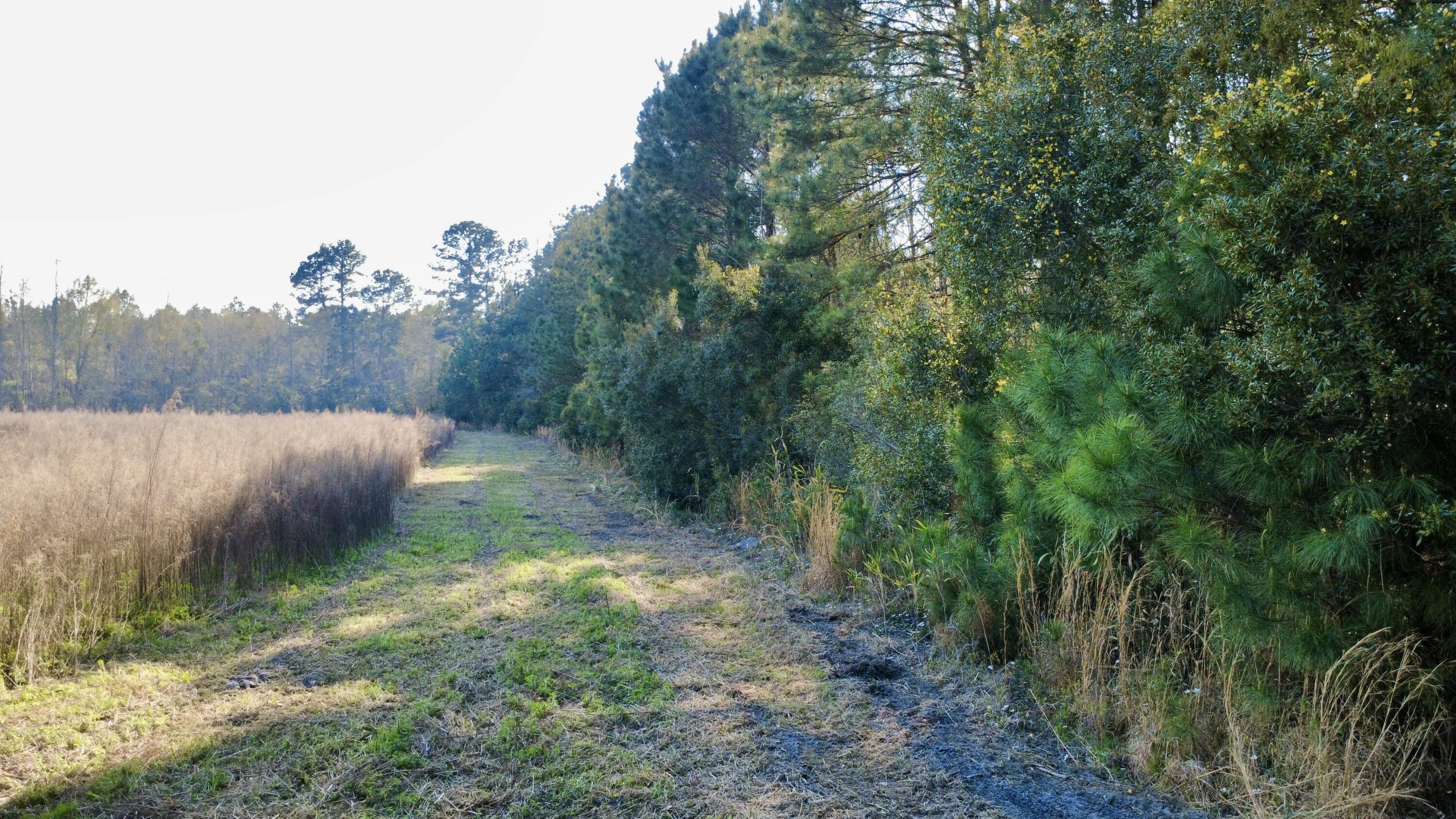 1 Westbury Road St. George, SC 29477 - Photo 6 of 29 IMG_8173