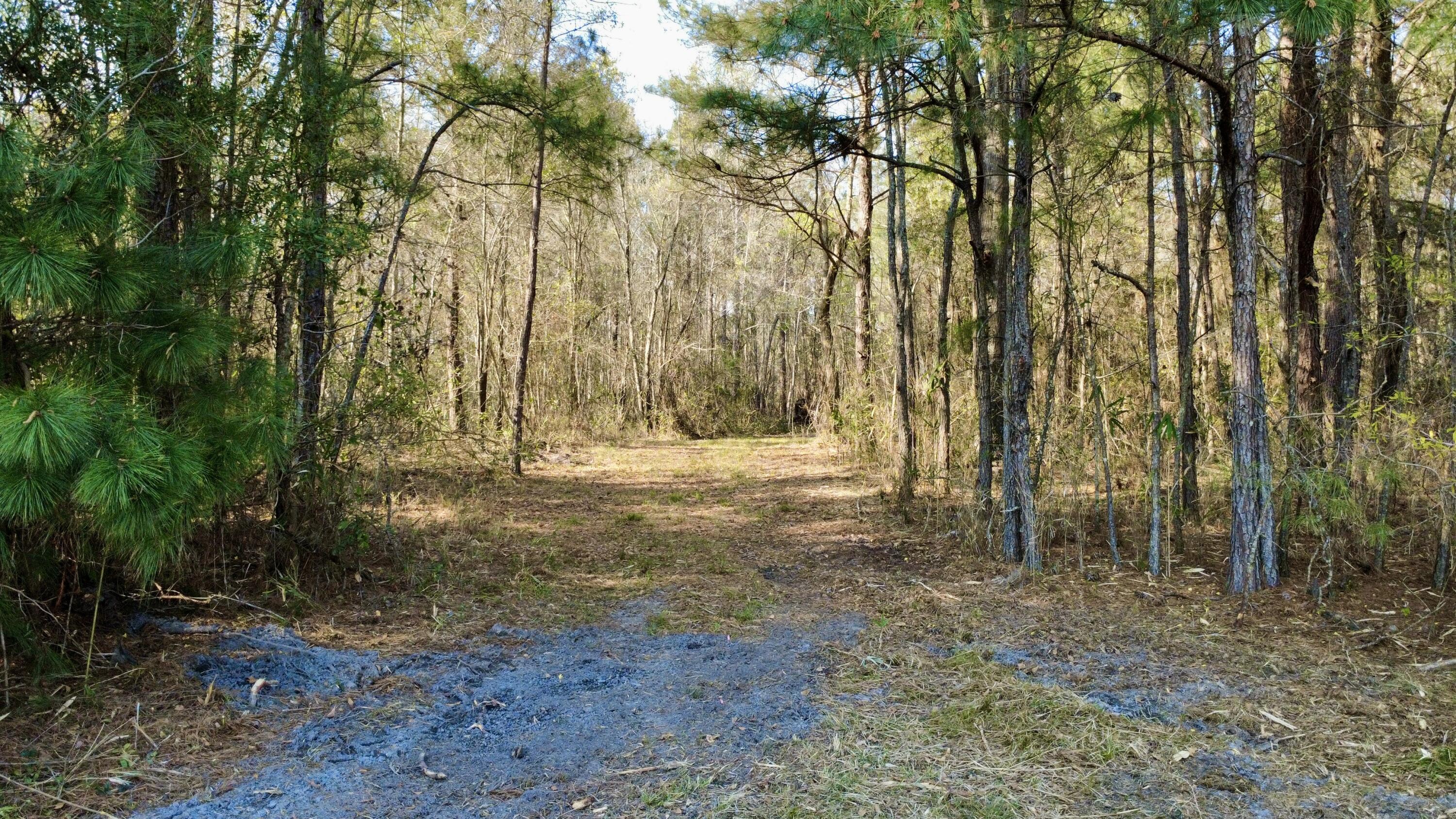 1 Westbury Road St. George, SC 29477 - Photo 7 of 29 dji_fly_20260321_165608_95_1774126777090