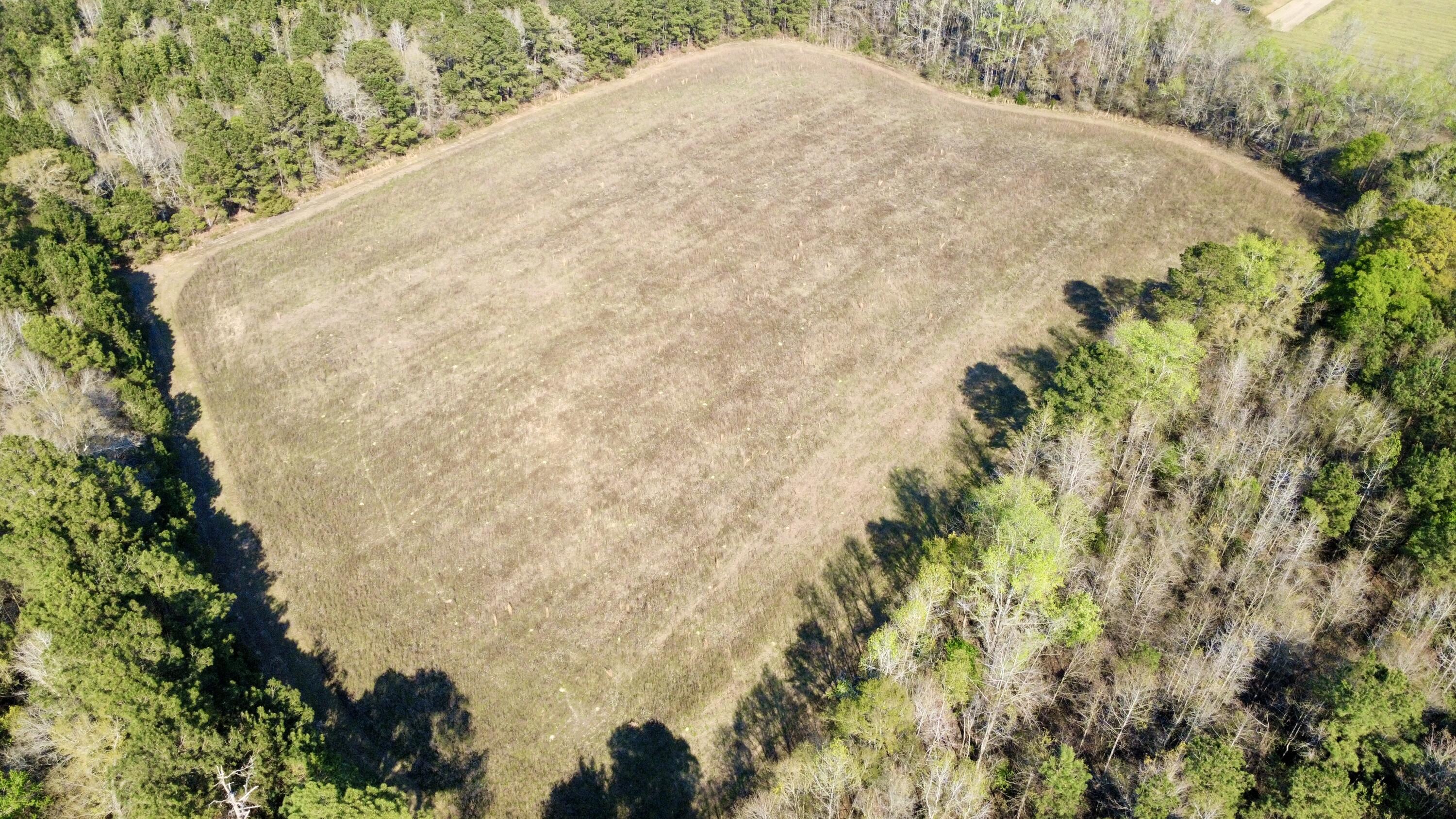 1 Westbury Road St. George, SC 29477 - Photo 8 of 29 IMG_8149