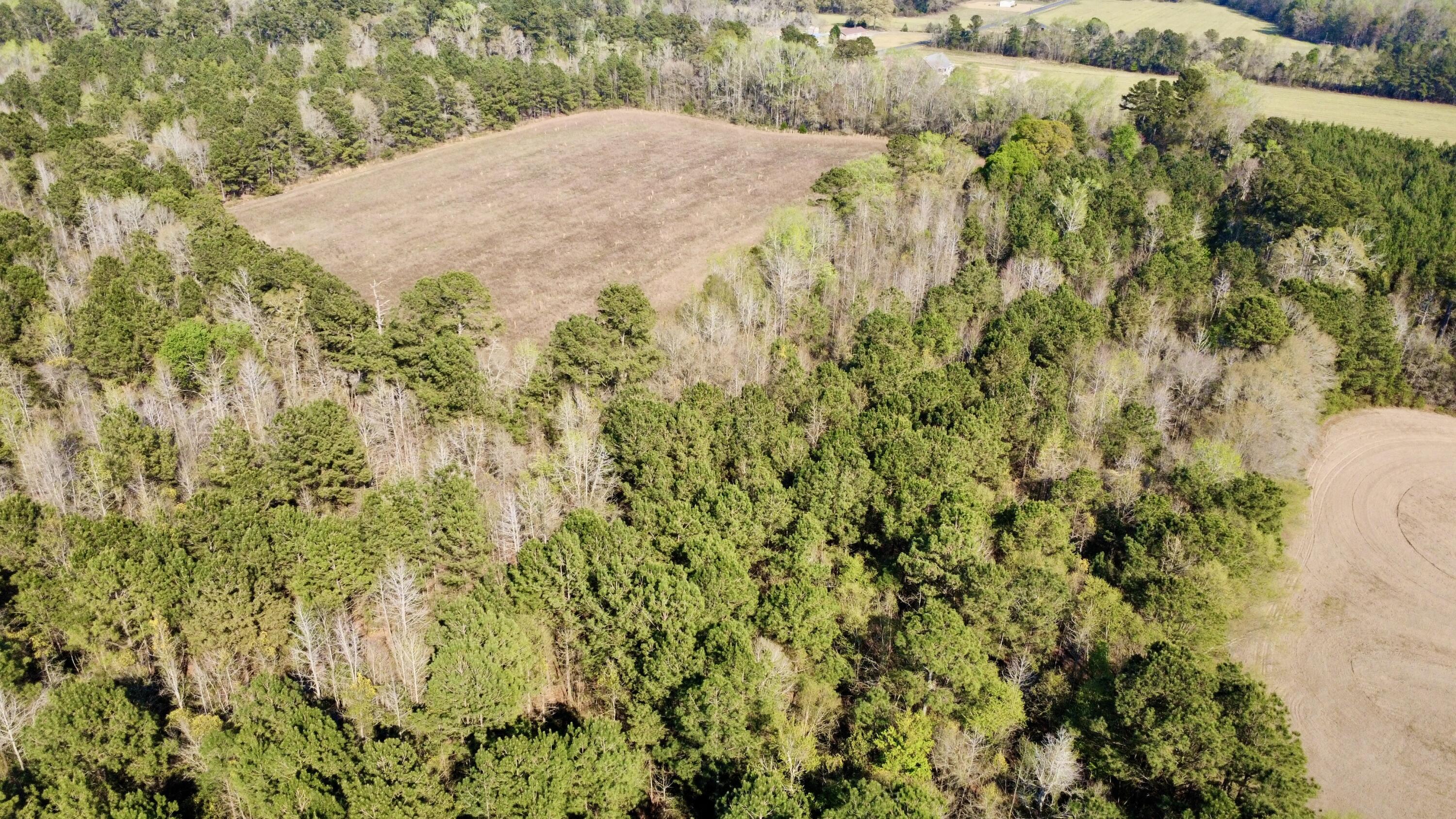 1 Westbury Road St. George, SC 29477 - Photo 9 of 29 dji_fly_20260321_162200_79_1774124882804
